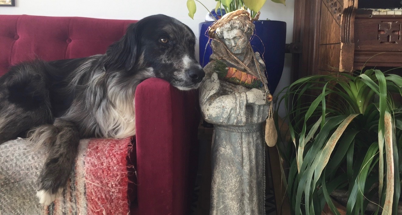 Supporting Gandalf’s Journey with Kristine & Dave campaign photo, 6 of 8