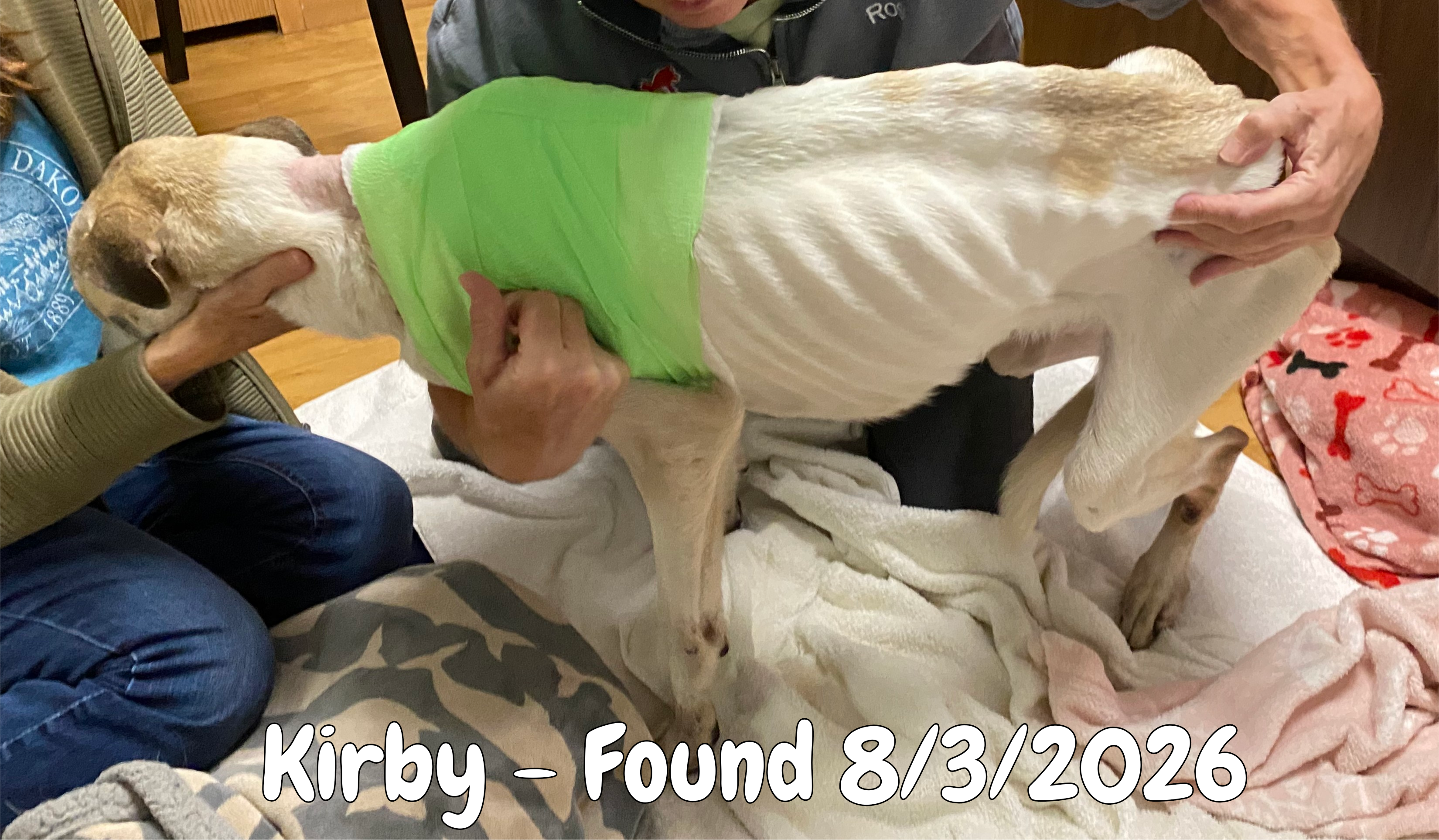 Help Kirby Fight His Way Back Home campaign photo, 2 of 8