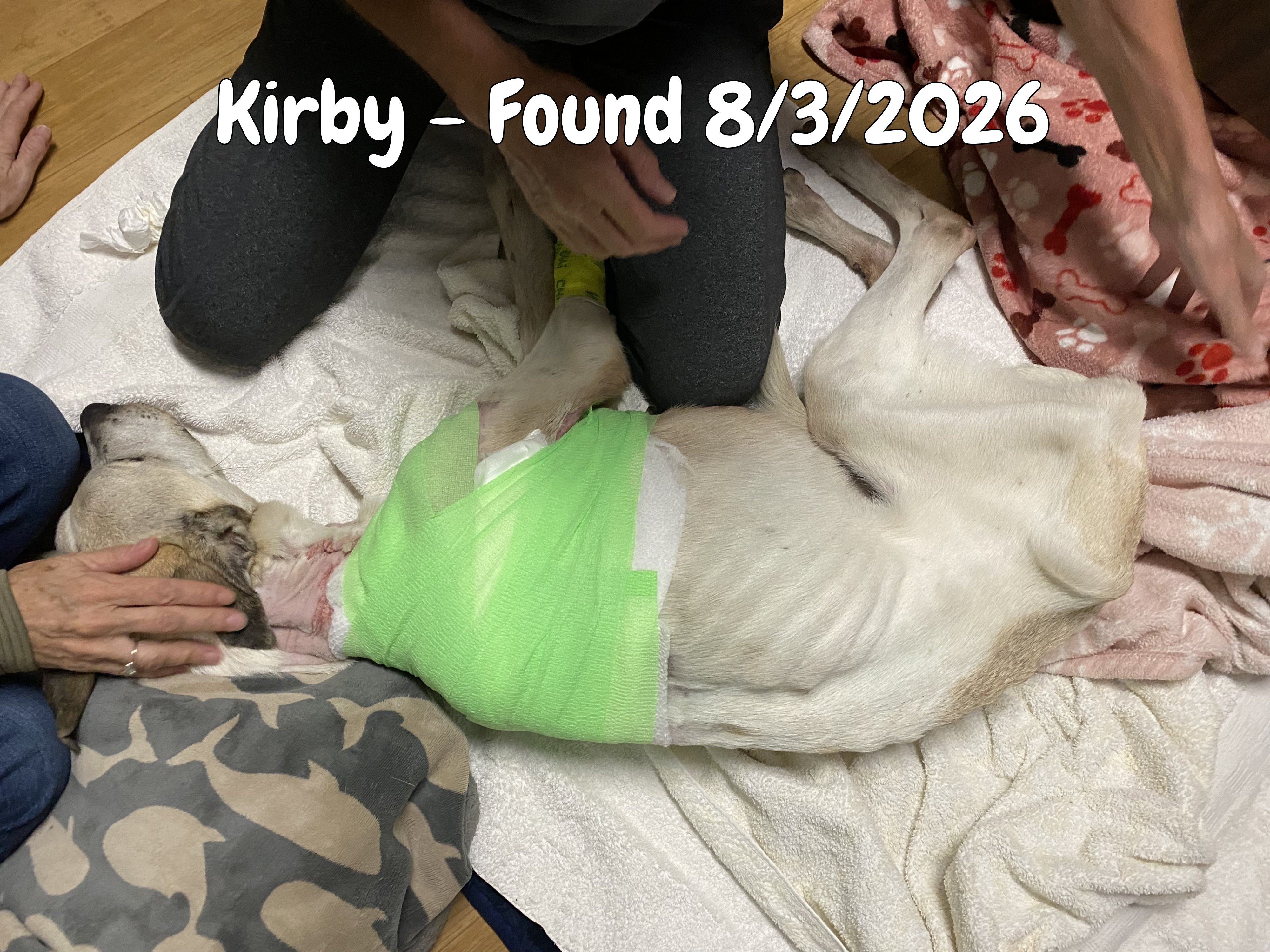 Help Kirby Fight His Way Back Home campaign photo, 4 of 8