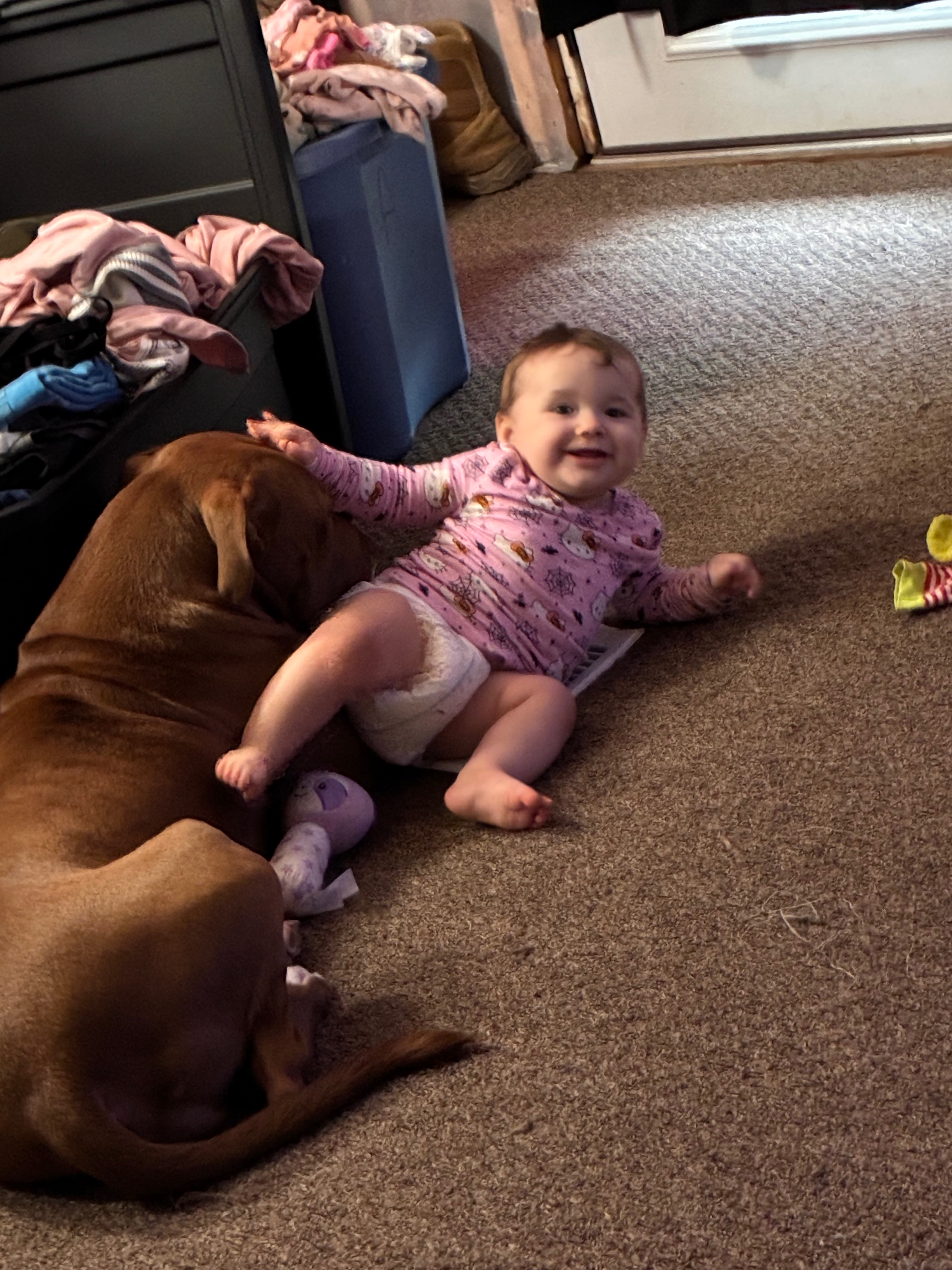 Help Heather’s Family Start Fresh in Florida campaign photo, 4 of 13