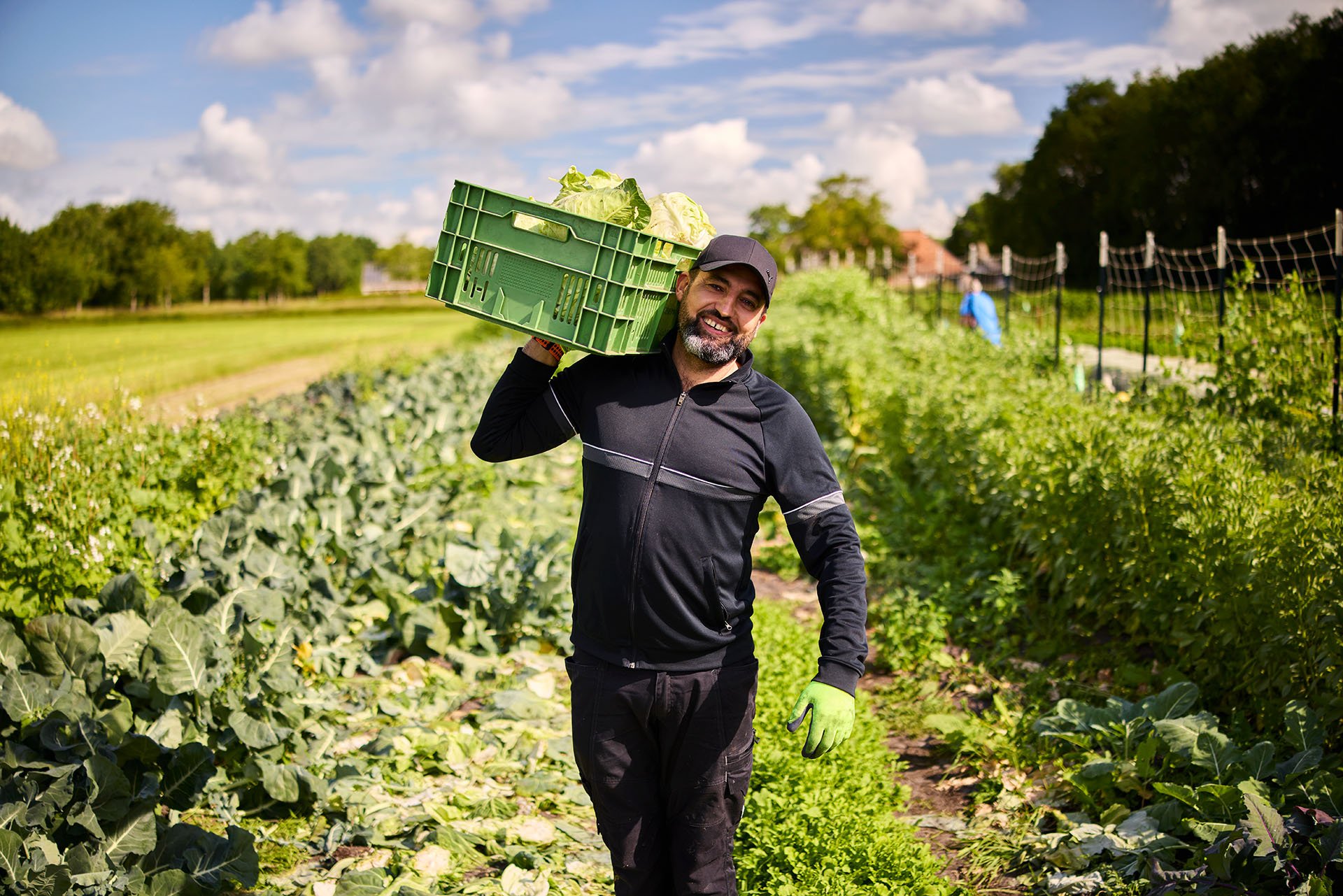 Foto van campagne Geef 100 gezinnen met een smalle beurs verse groenten, 2 van 8