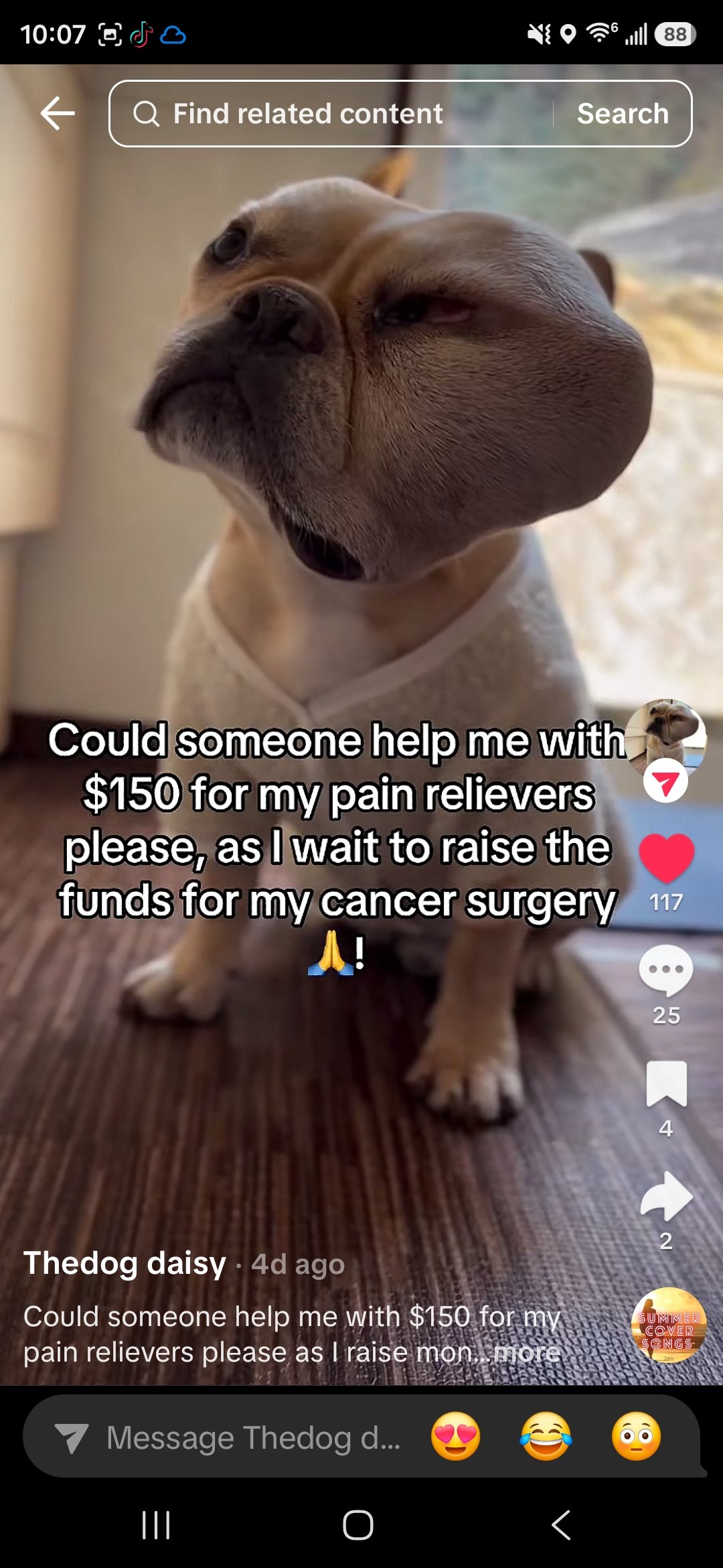Help Daisy Fight Cancer campaign photo, 4 of 6