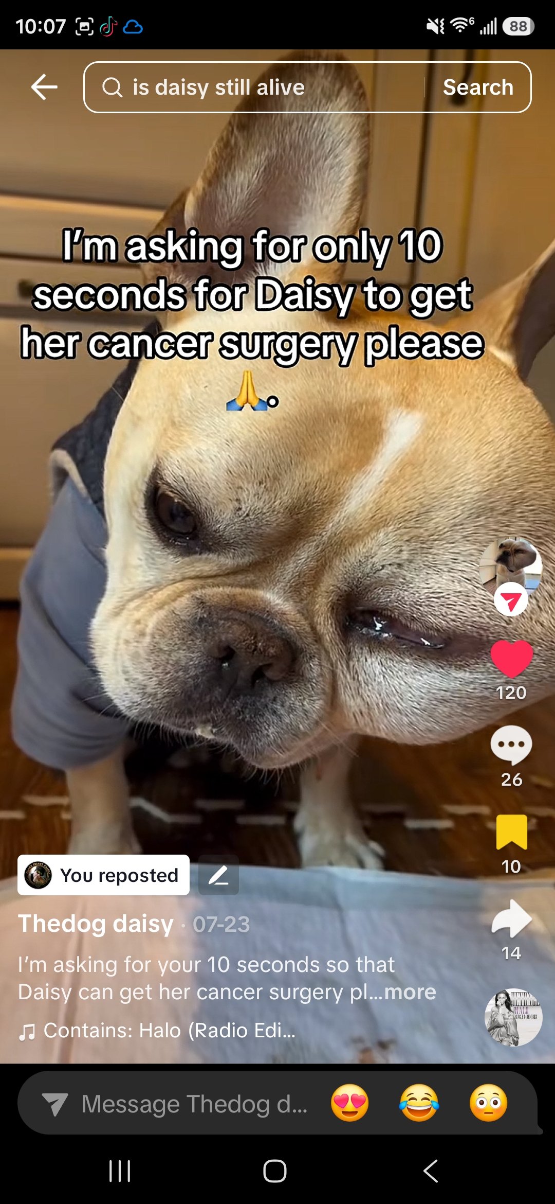 Help Daisy Fight Cancer campaign photo, 2 of 6