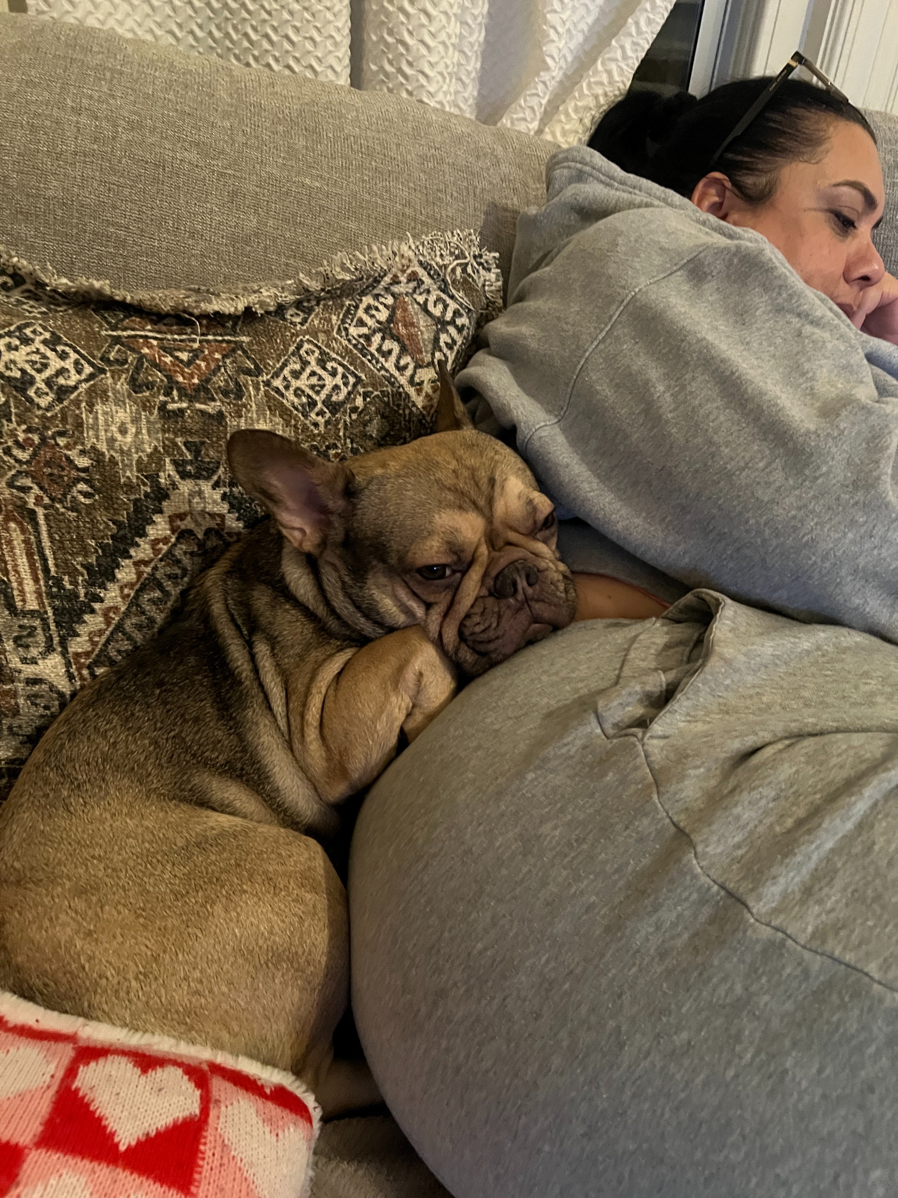 Help Luna Get the Surgery She Needs campaign photo, 2 of 8