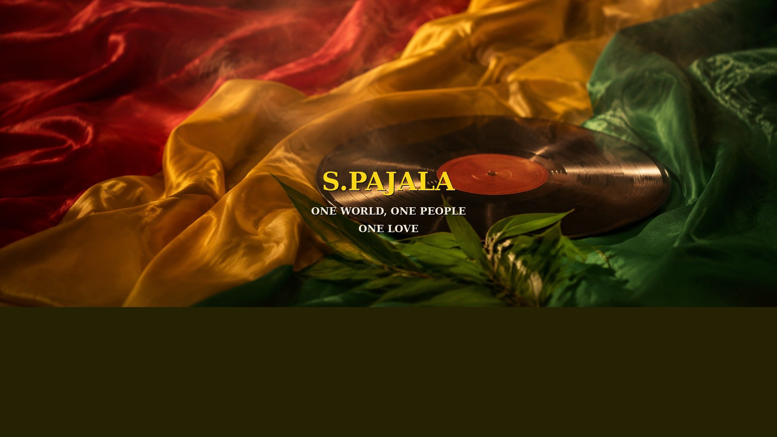 Help S.Pajala build a better studio for Finnish roots reggae campaign photo, 5 of 6
