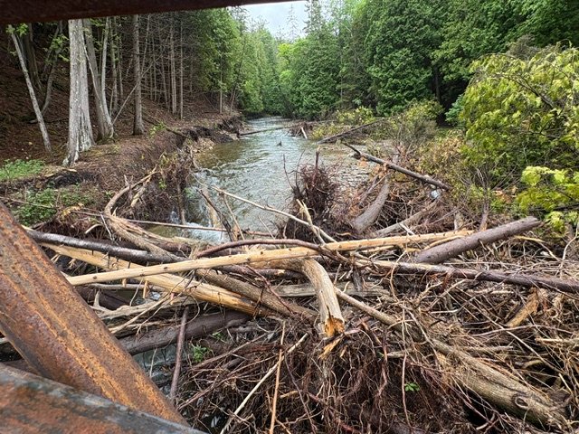 Kagawong River and Trail Emergency Restoration campaign photo, 7 of 8