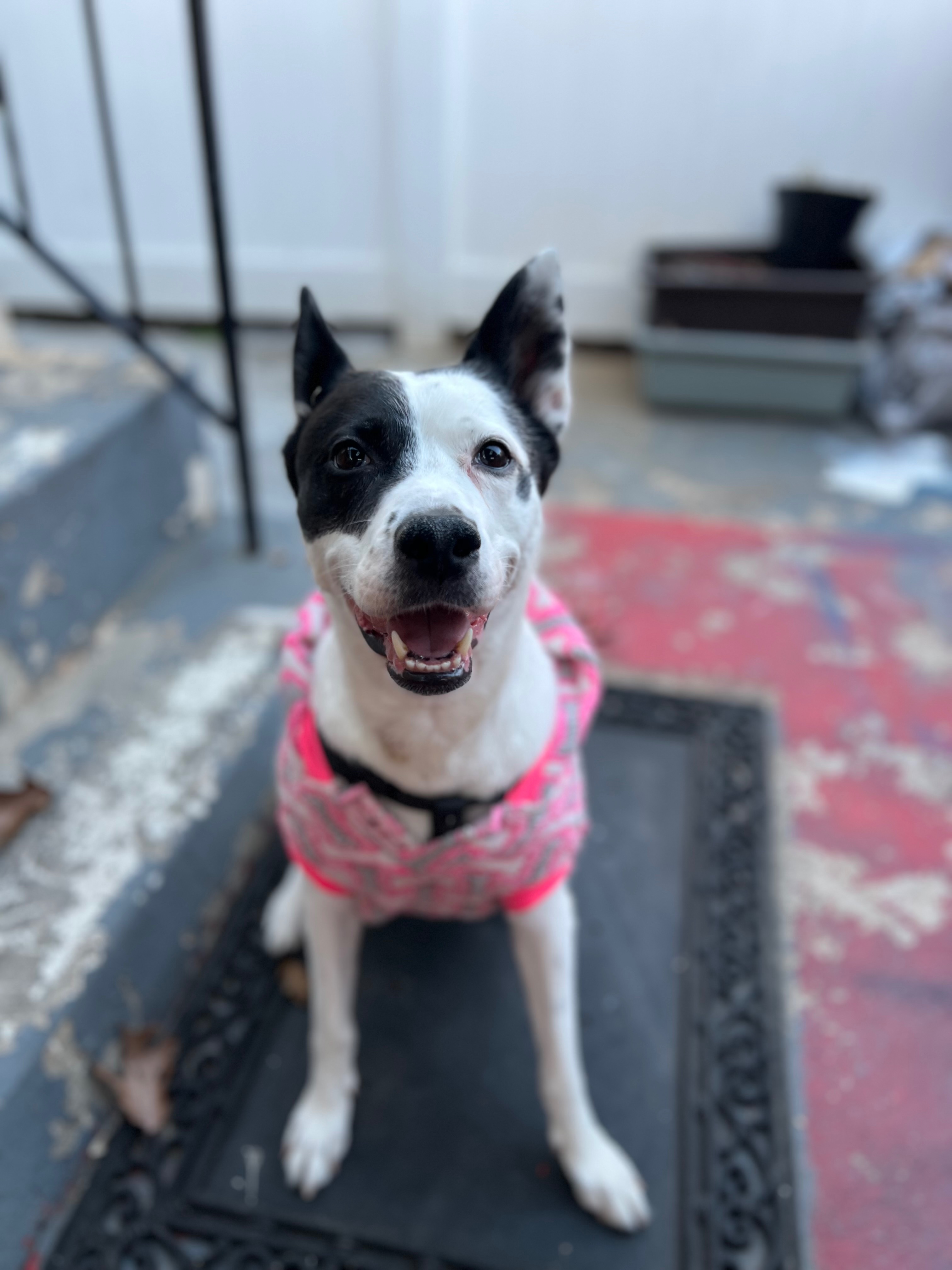 Help Nyla Get the Surgery She Needs campaign photo, 7 of 8