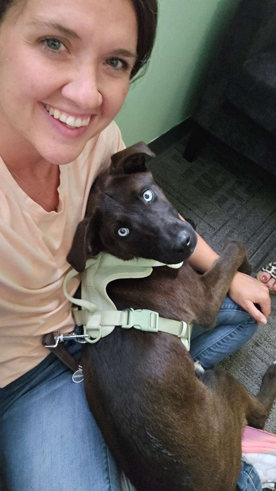 Help Blue Get His Leg Surgery campaign photo, 5 of 8