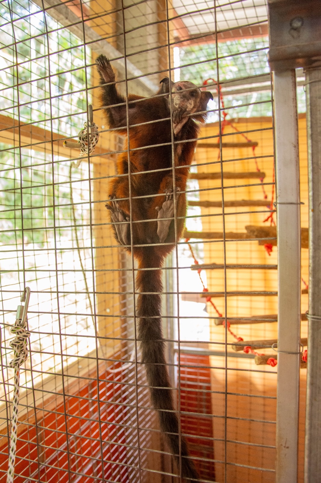 Help Us Get a Truck for Our Wildlife Rescue campaign photo, 4 of 7