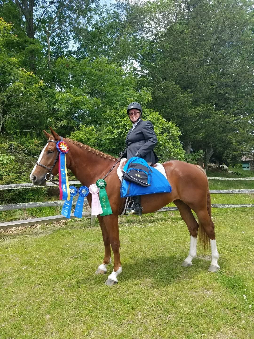 Community Aid for Kim, Remmy, and Their Horses campaign photo, 2 of 6