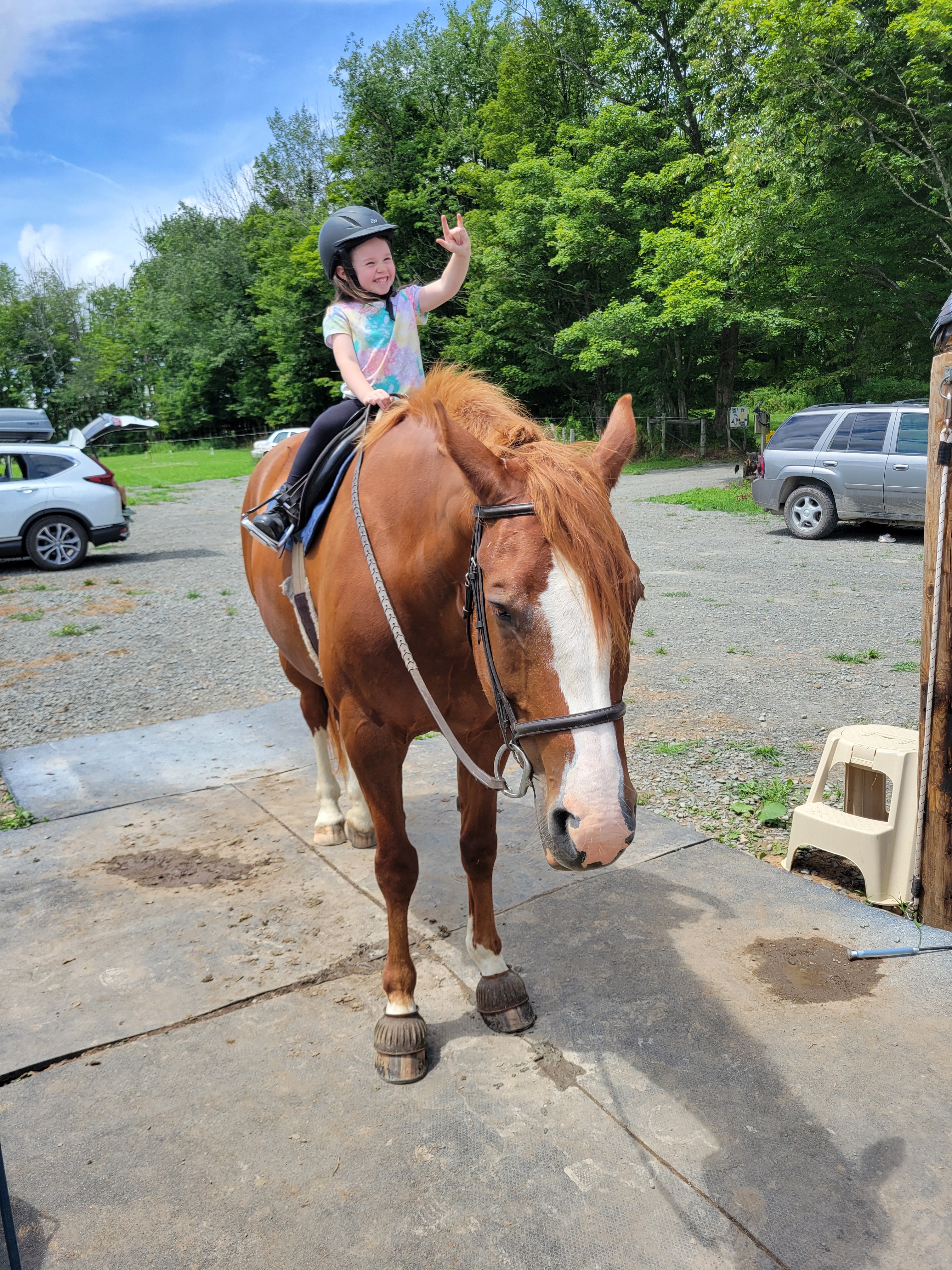 Community Aid for Kim, Remmy, and Their Horses campaign photo, 4 of 6