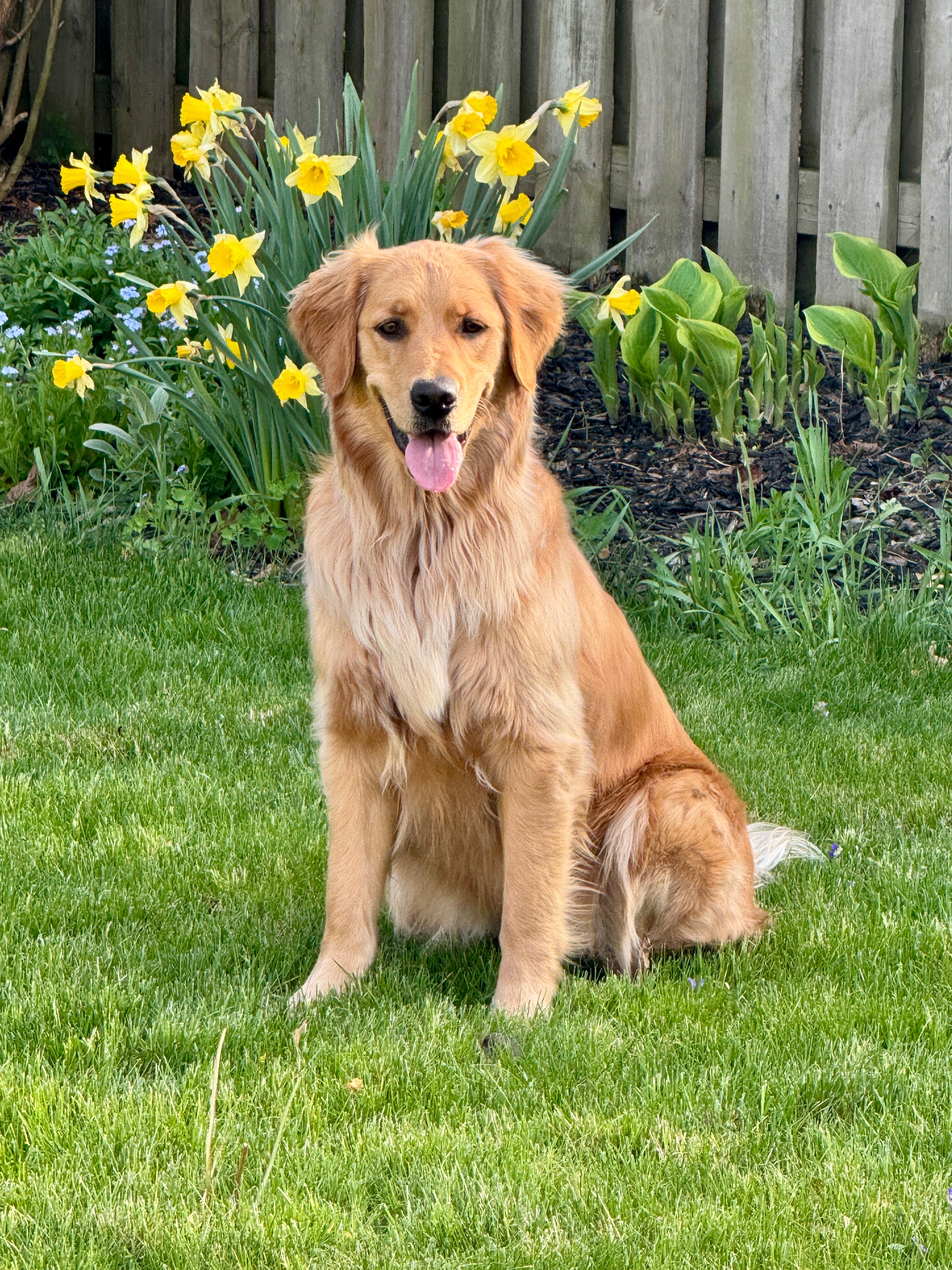 Help Winnie Get Back On Her Paws campaign photo, 5 of 8