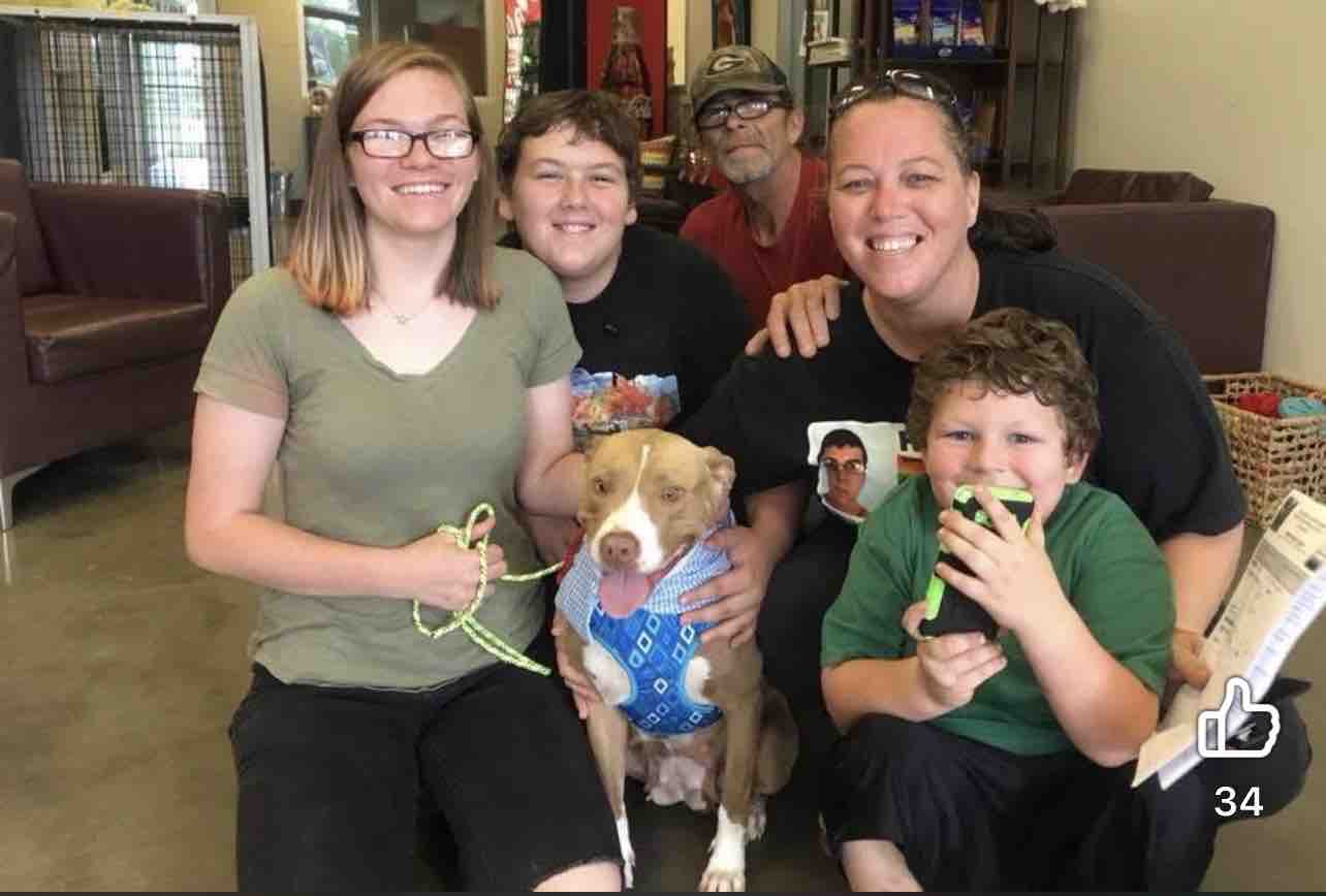 Help Us Remove My Dog's Painful Lump campaign photo, 4 of 8