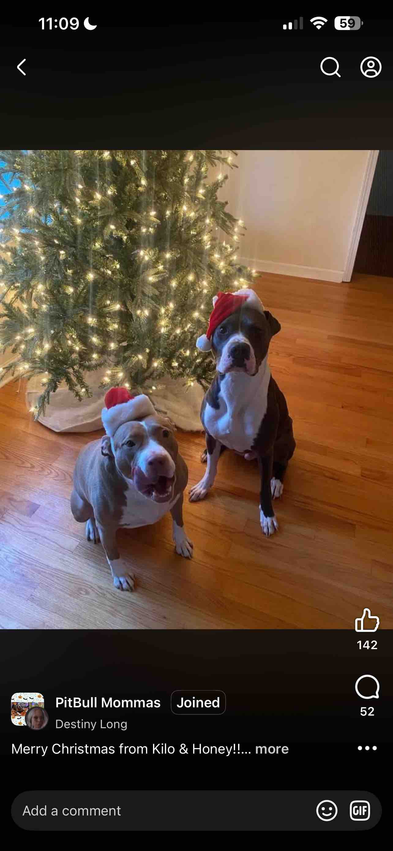 Help Us Remove My Dog's Painful Lump campaign photo, 6 of 8