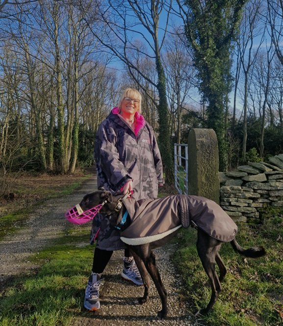Help us raise money for Sheffield Retired Greyhounds campaign photo, 5 of 6