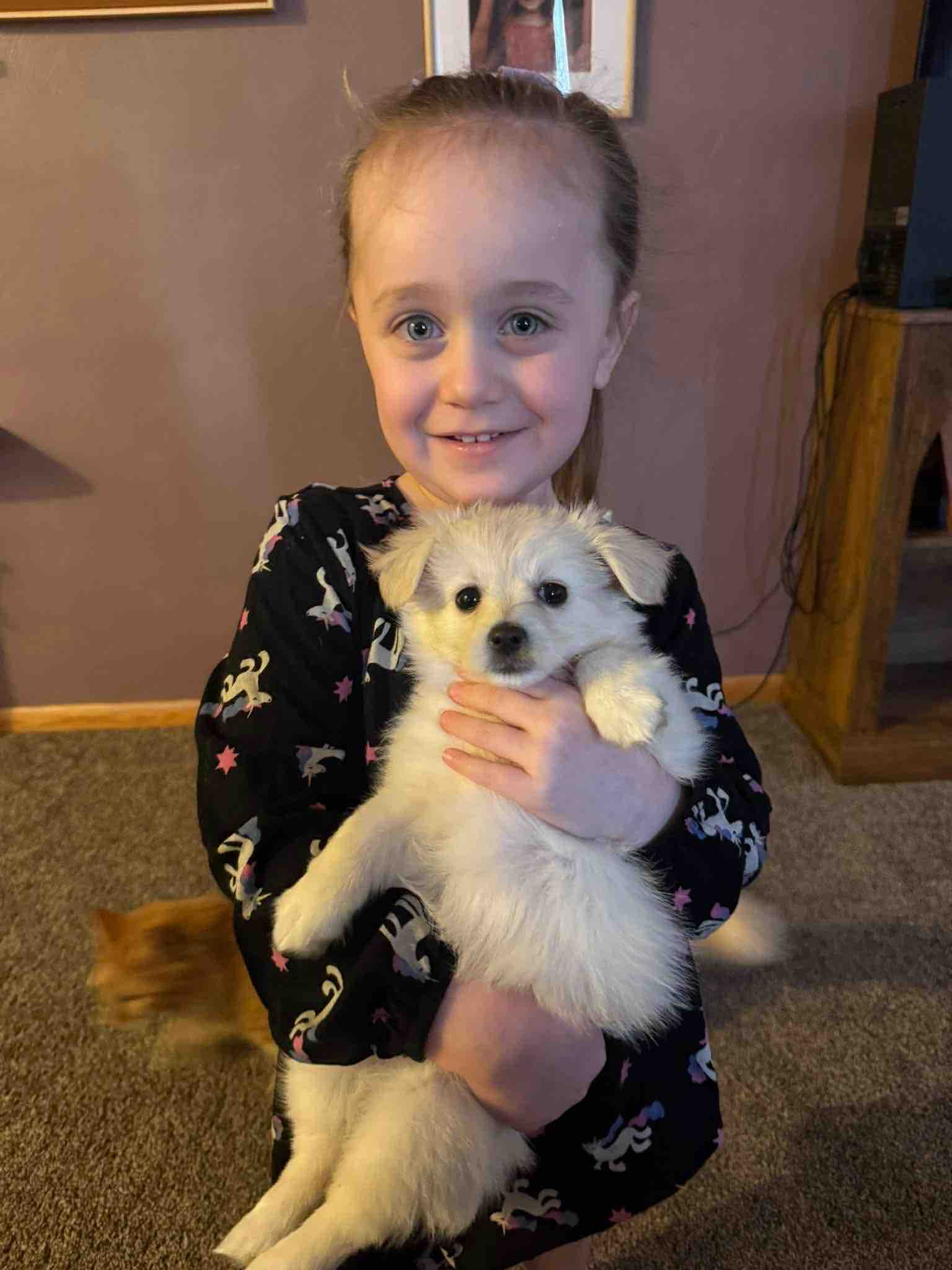 Support Millie’s Fight Against Leukemia campaign photo, 11 of 13