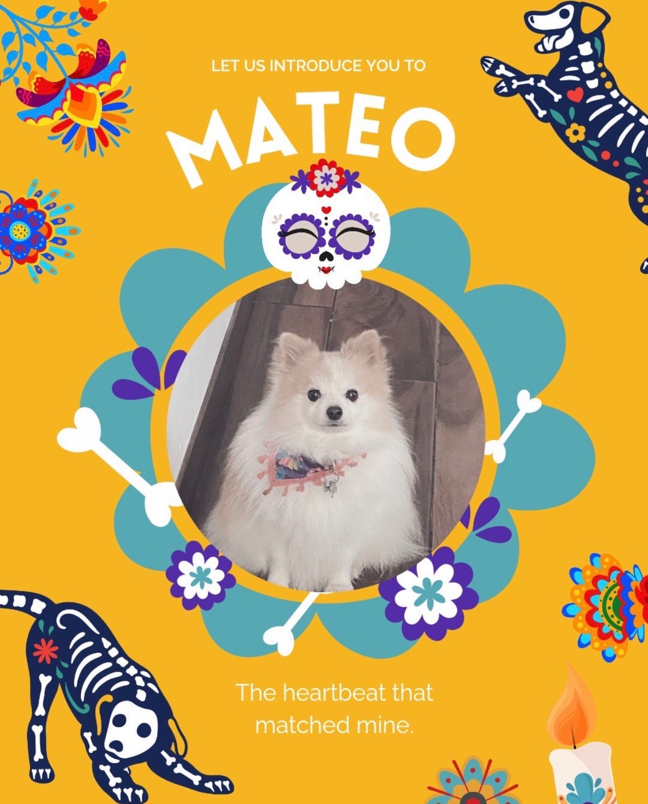 Help Build the Global Animal Ofrenda campaign photo, 5 of 6