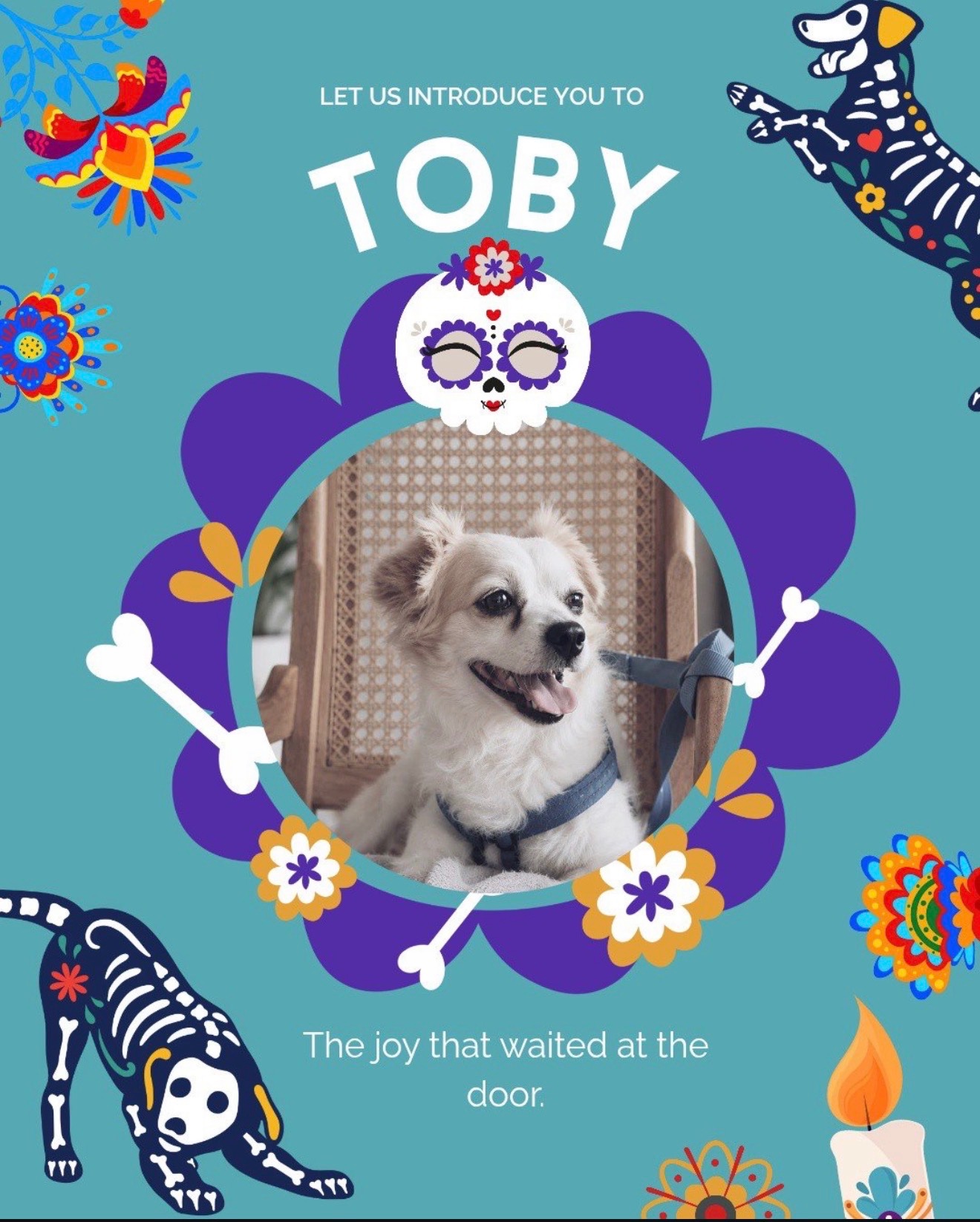 Help Build the Global Animal Ofrenda campaign photo, 4 of 6
