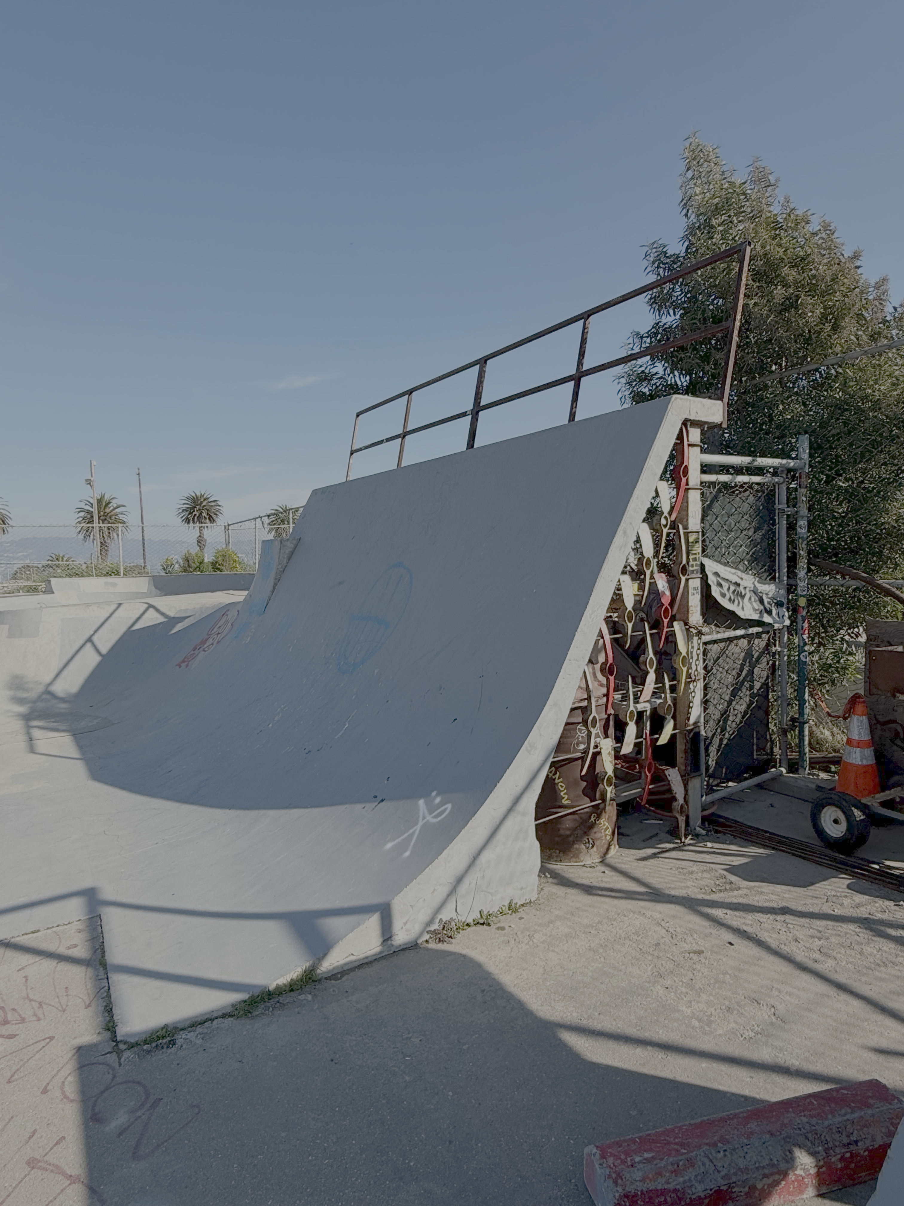 Support Enclosing Treasure Island Skatepark campaign photo, 4 of 5