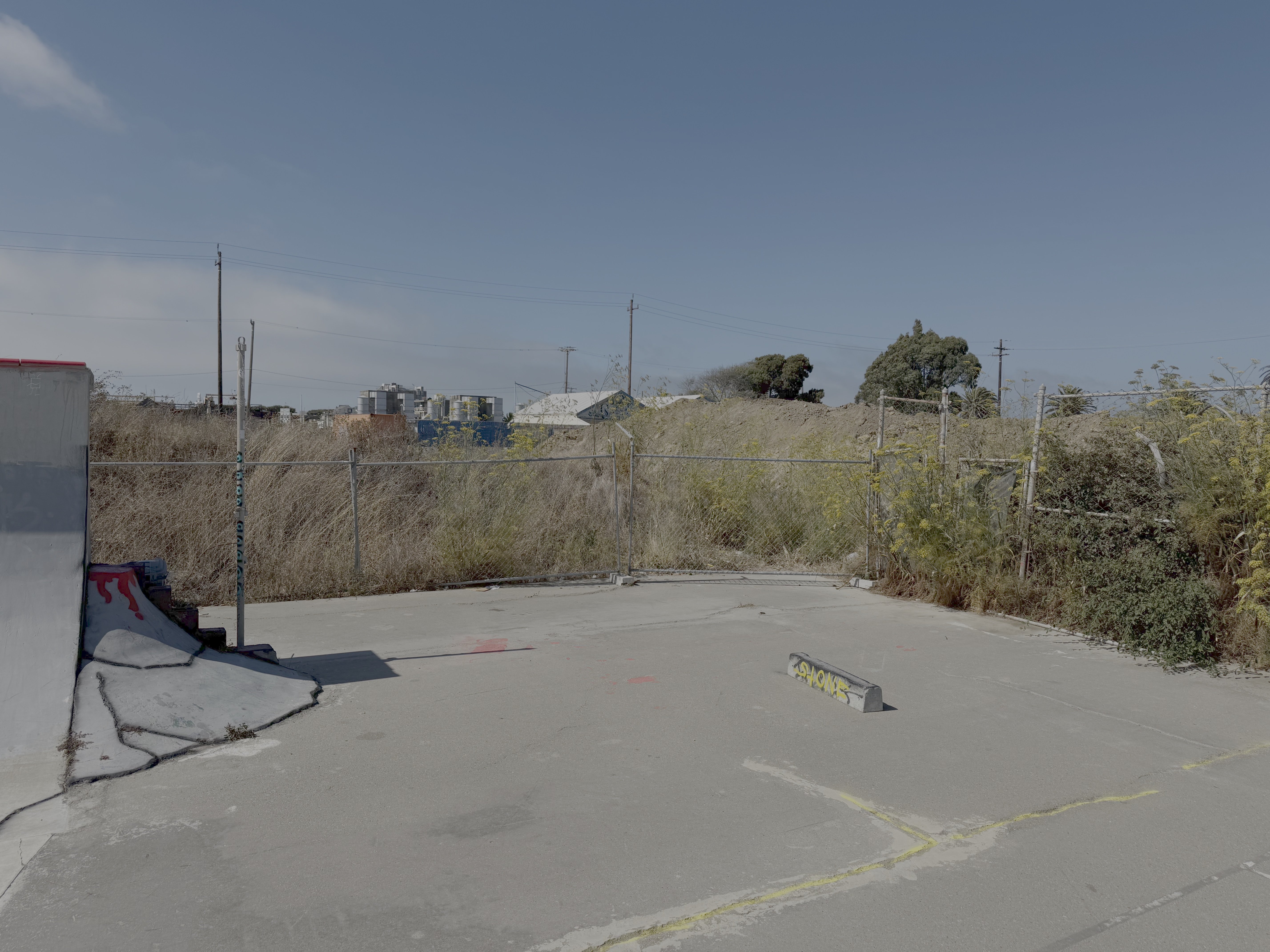 Support Enclosing Treasure Island Skatepark campaign photo, 2 of 5