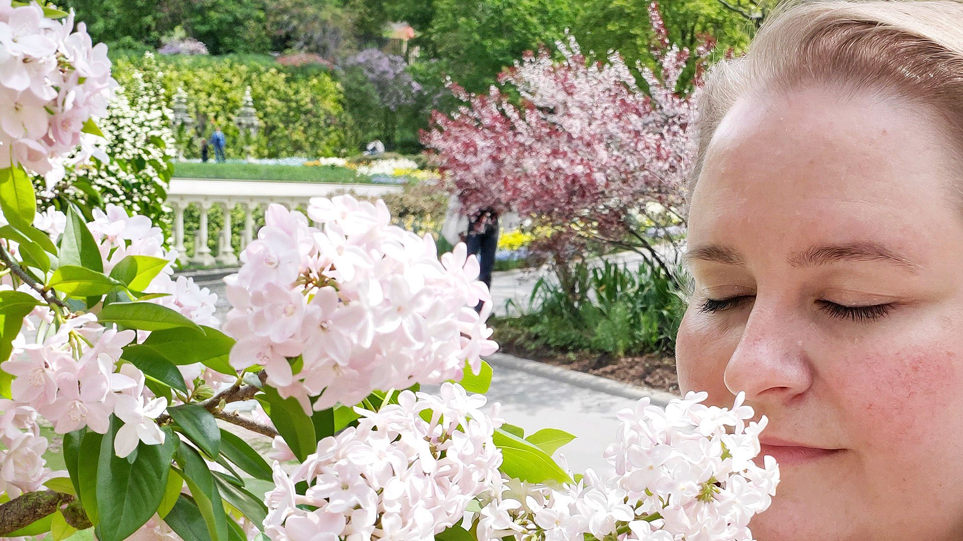 Help Fund My Upcoming Recital: ‘Feels Like Home’ campaign photo, 4 of 5