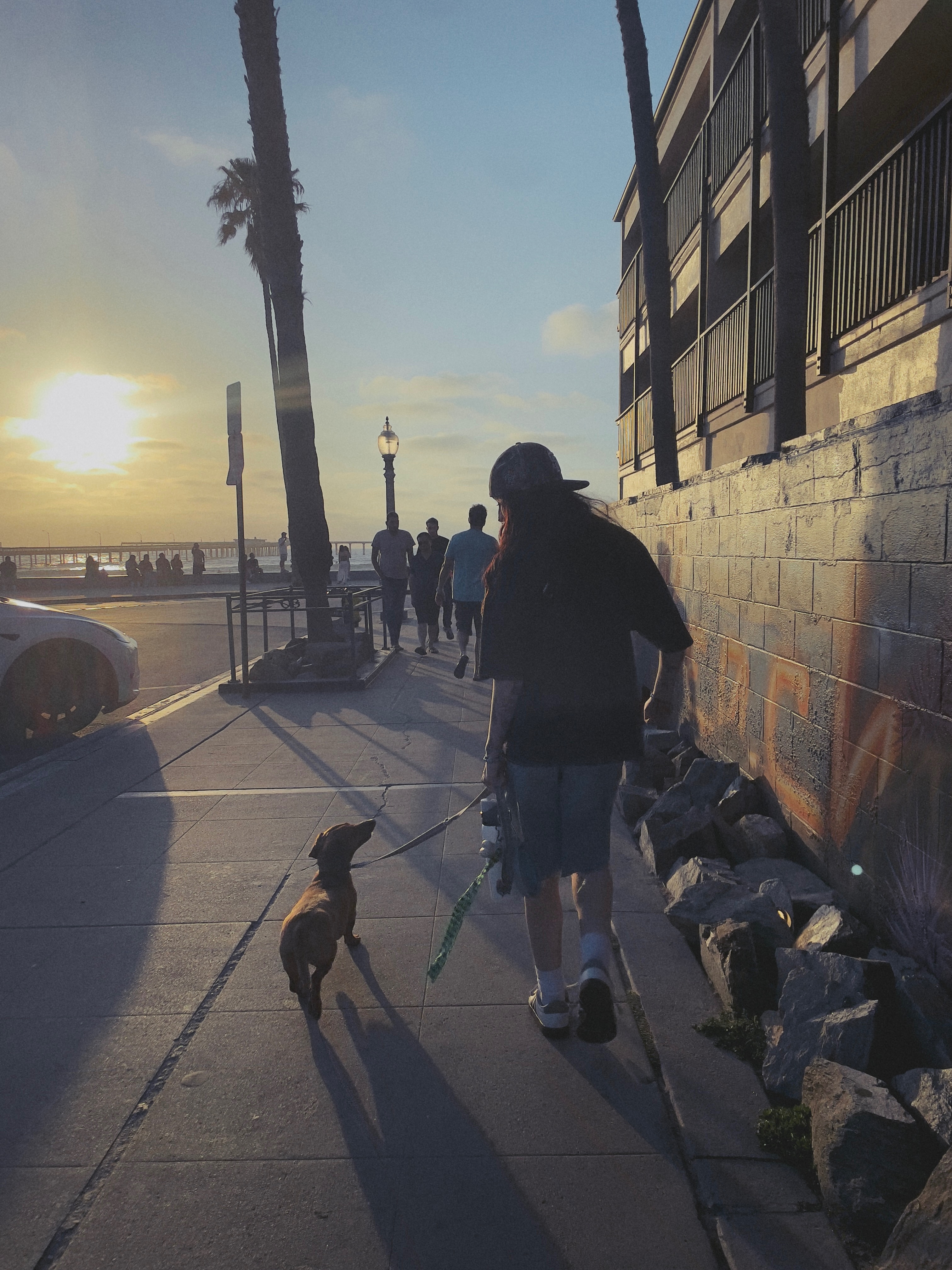 Help Winston Heal After a Dog Attack campaign photo, 5 of 8