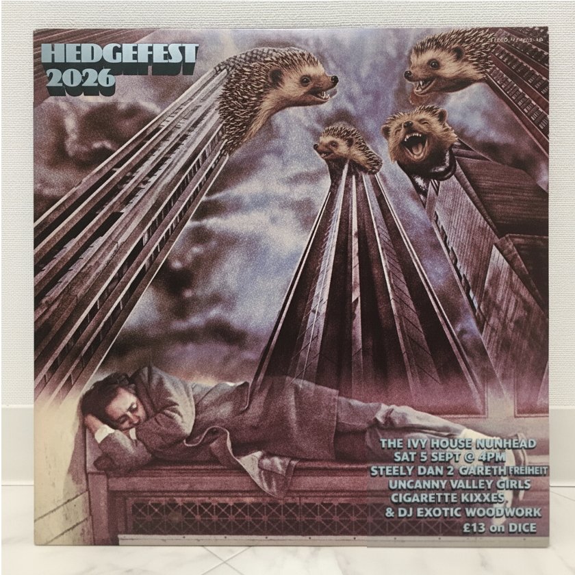 Help support HedgeFest and save London's urban hedgehogs! campaign photo, 4 of 5