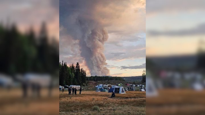 Forest Fire Fighter Hero Desperately Needs Our Help campaign photo, 2 of 8