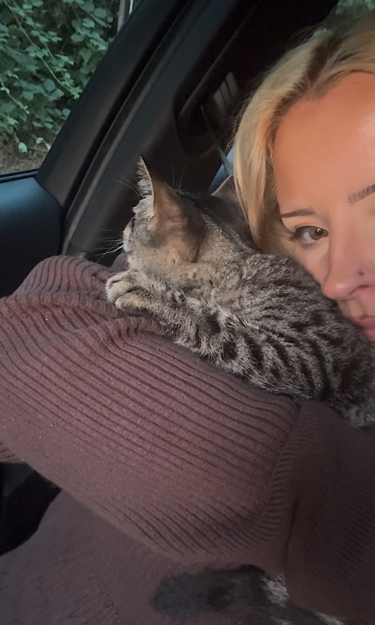 Help Tiger Beat FIP and Recover campaign photo, 5 of 8