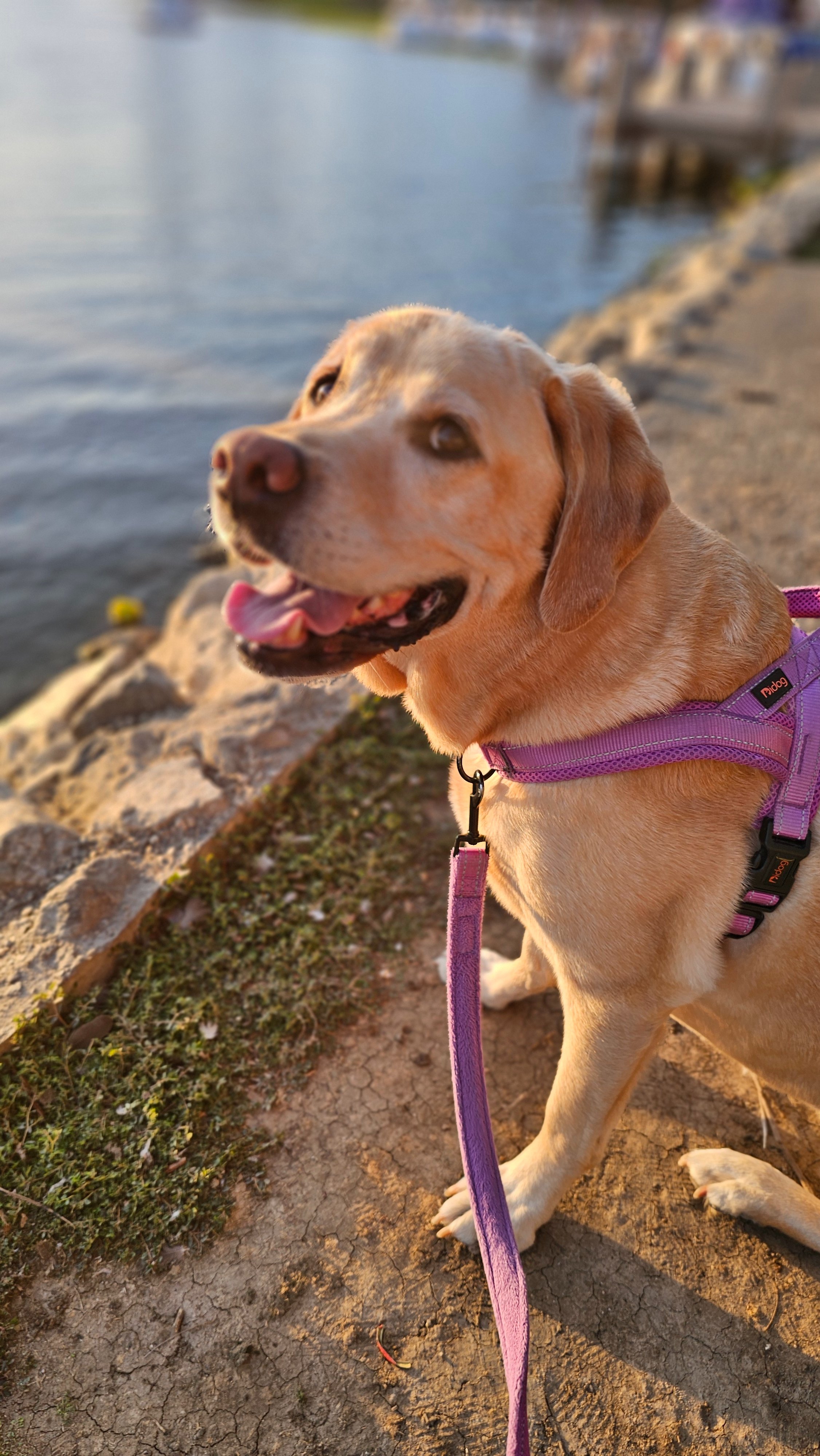 Support Charlotte’s Cancer Treatment Journey campaign photo, 7 of 8