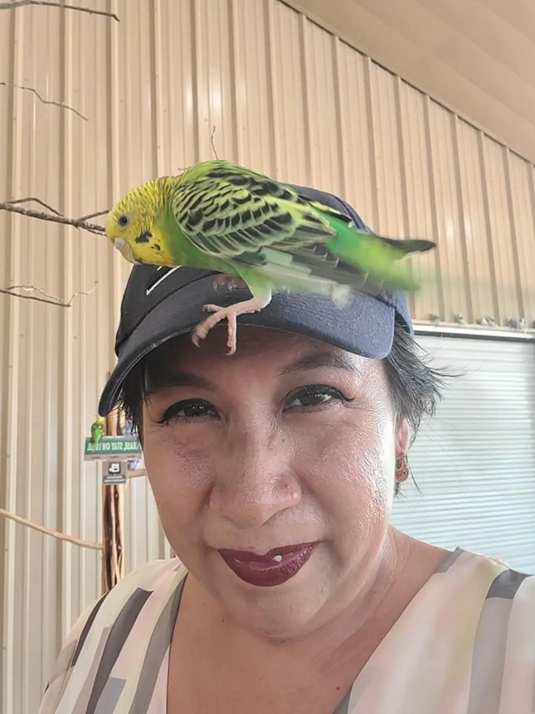 Help Claudia Rebuild Her Life After ICE Detention campaign photo, 2 of 8