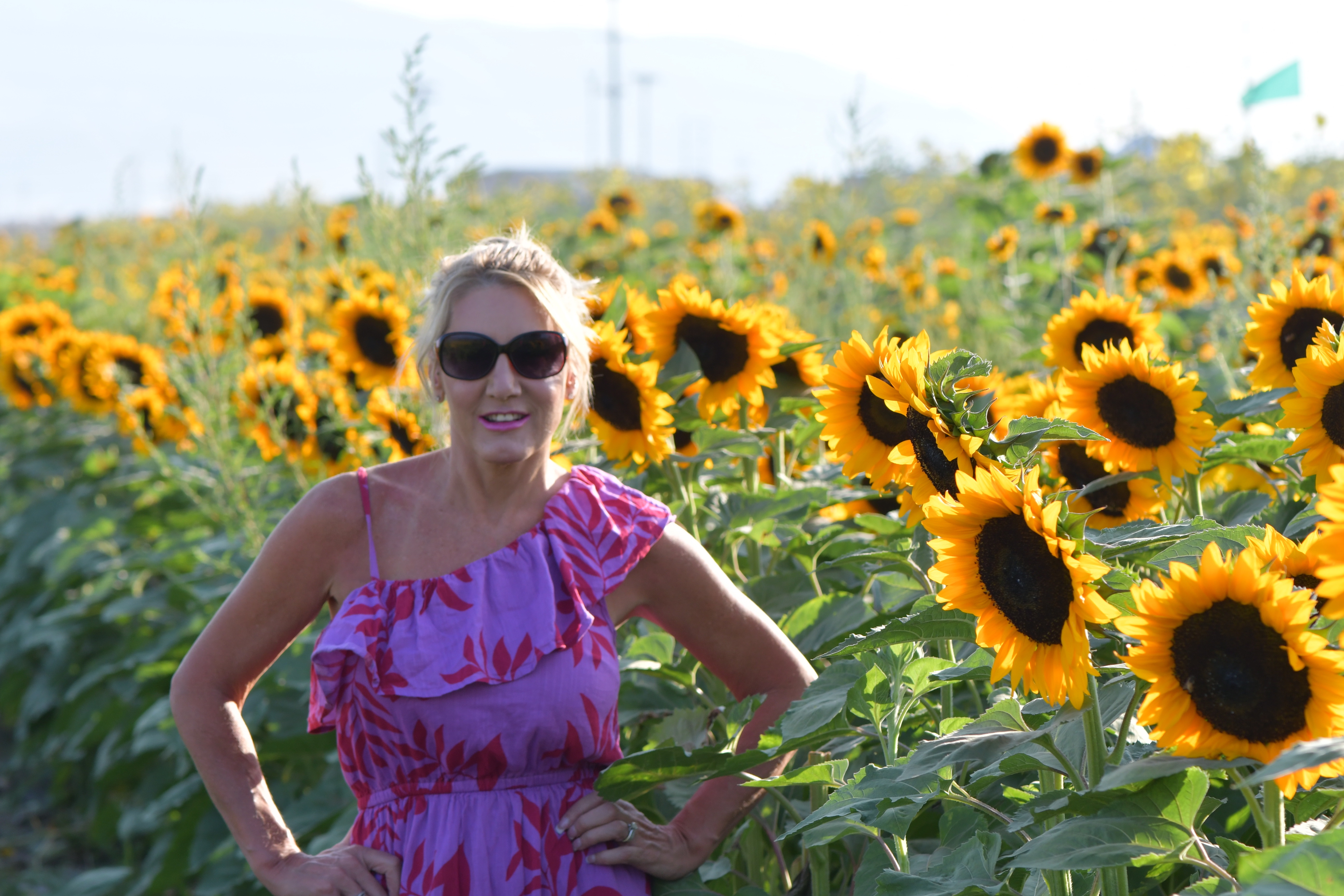Help David After Michele’s Sudden Passing campaign photo, 4 of 8