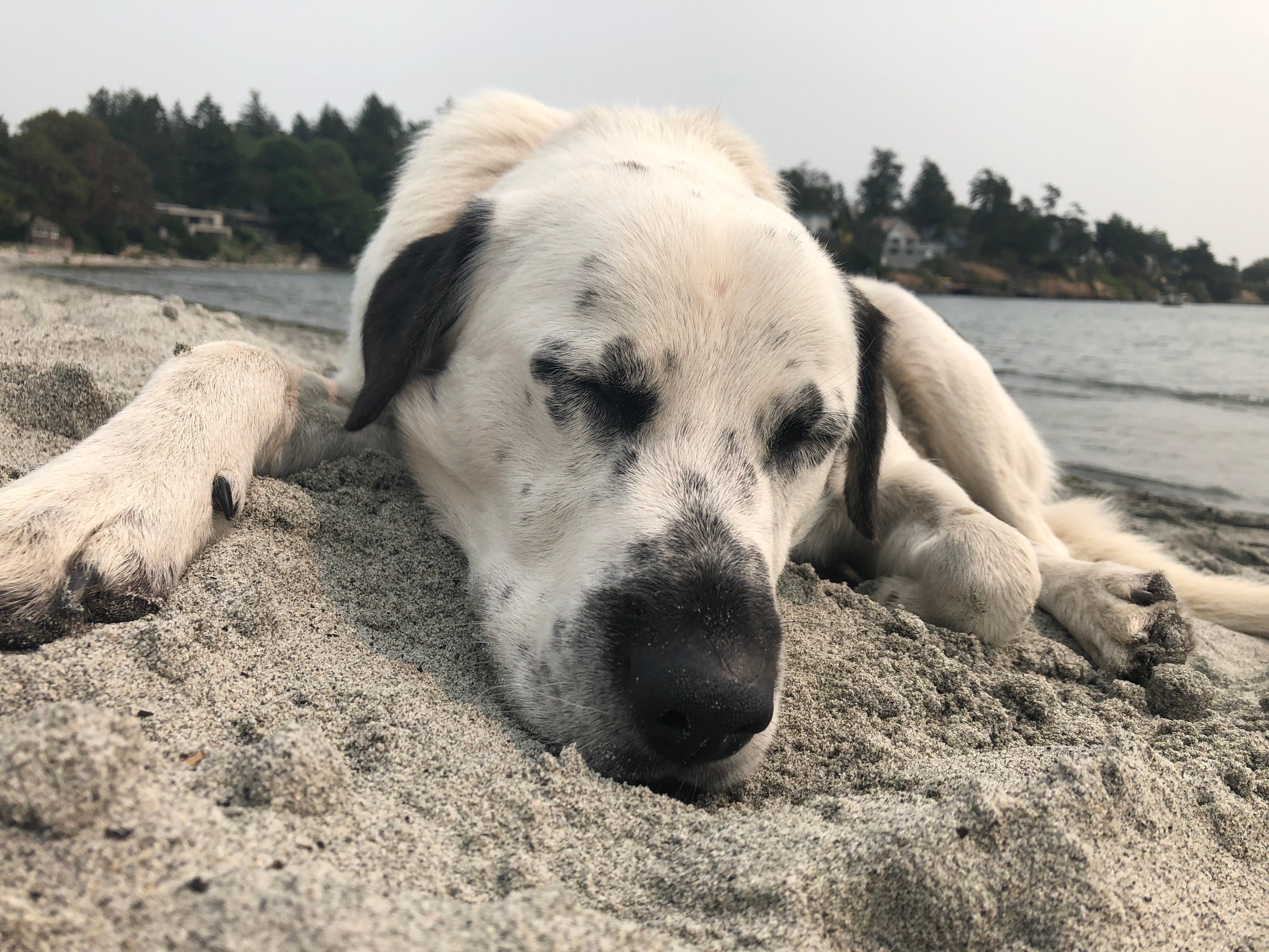 From Blindness to Bright Days: Help Tavi See Again campaign photo, 5 of 7