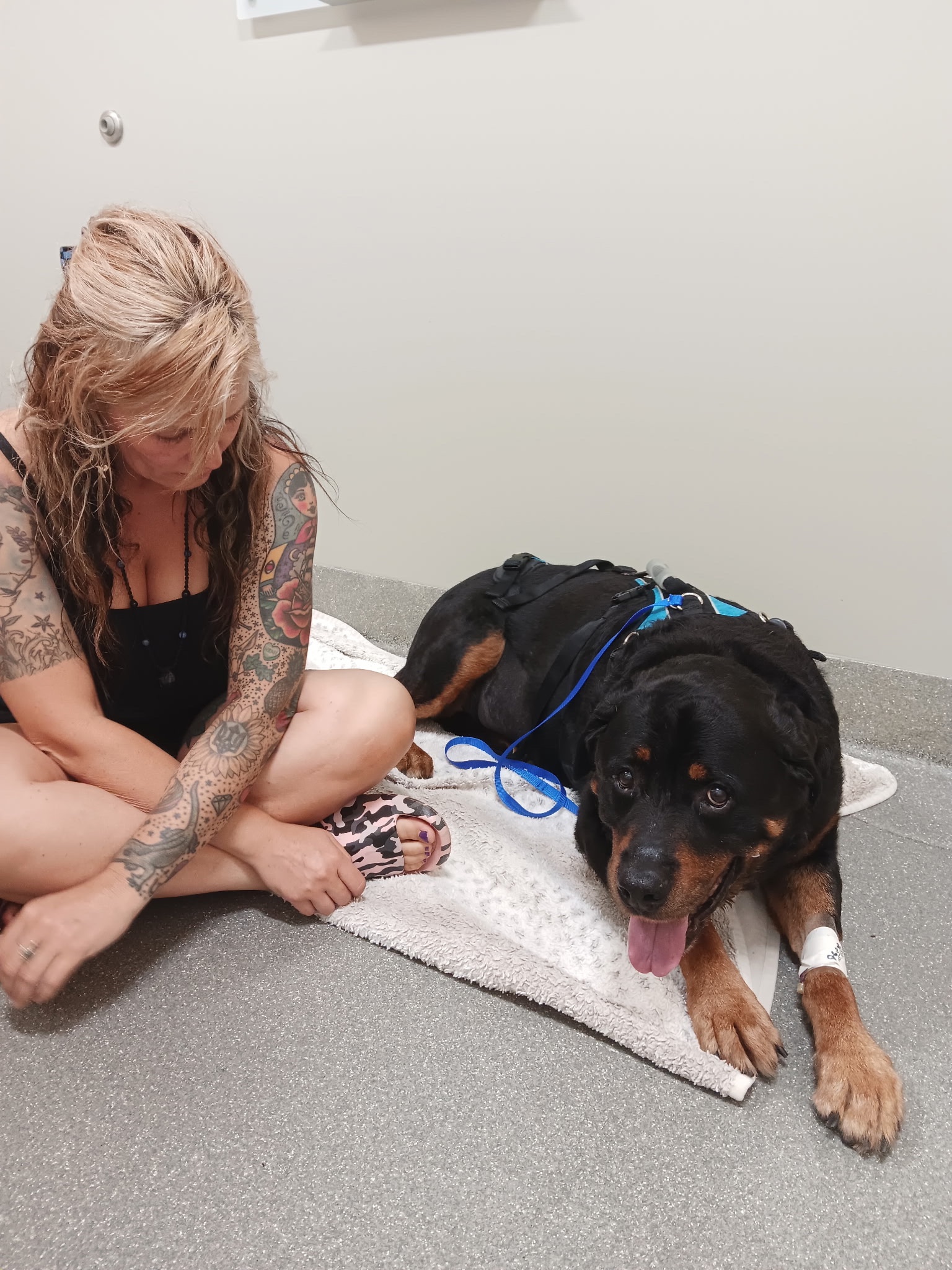 Foto della campagna Help Save Hemi’s Life with Urgent Surgery, 6 di 8