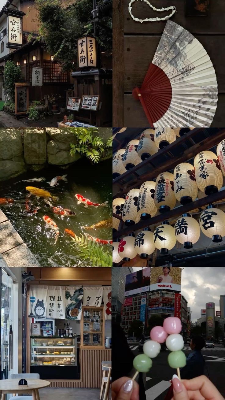 From America to Japan: Help Me Make My School Trip Come True campaign photo, 2 of 5