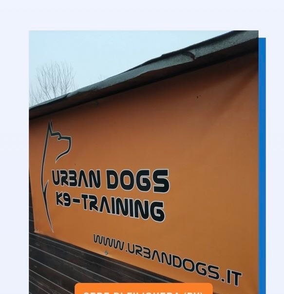 AIUTIAMO URBAN DOGS A RINASCERE ❤️ campaign photo, 6 of 8