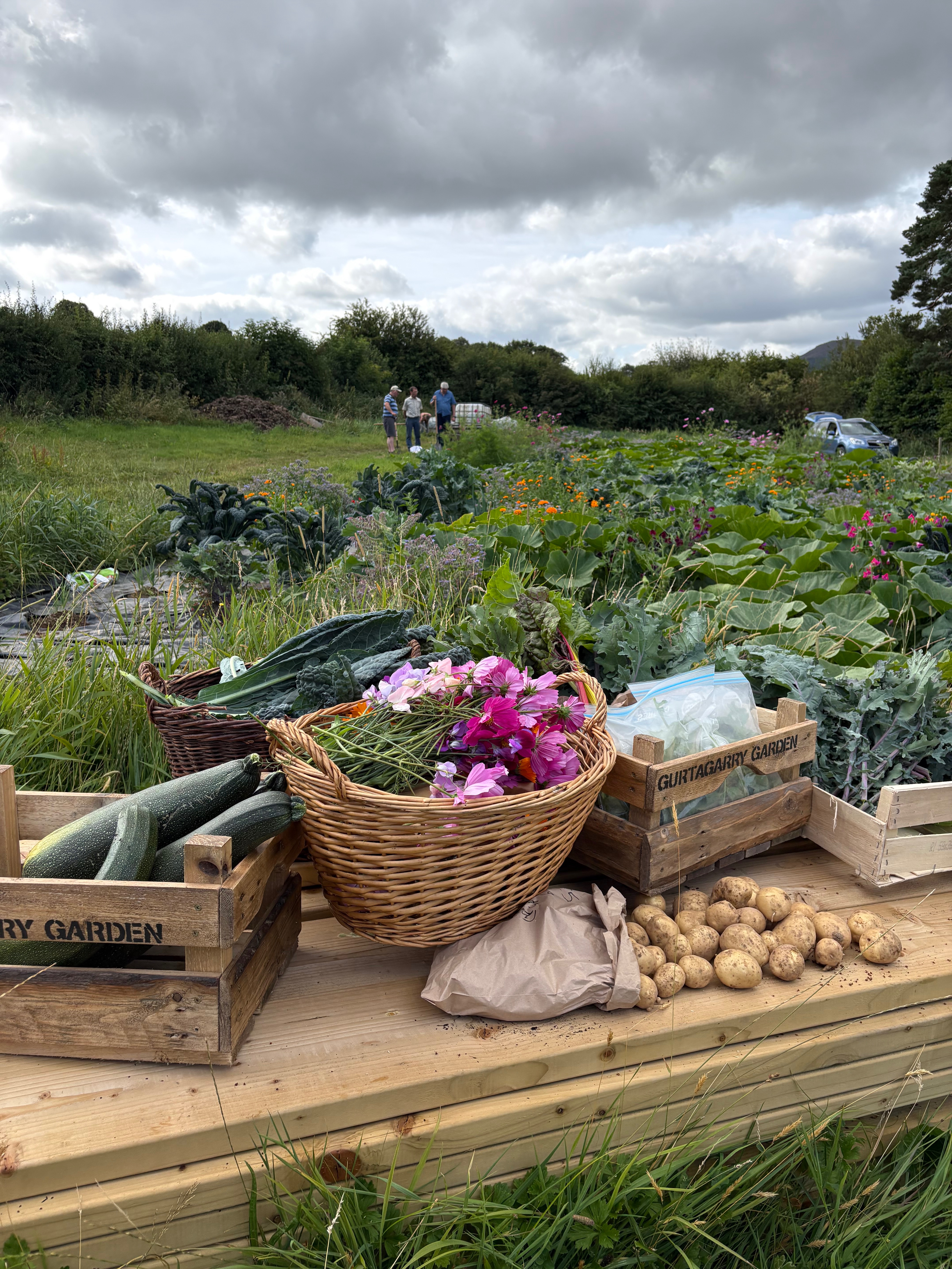 Help Us Grow Something for Generations campaign photo, 4 of 5