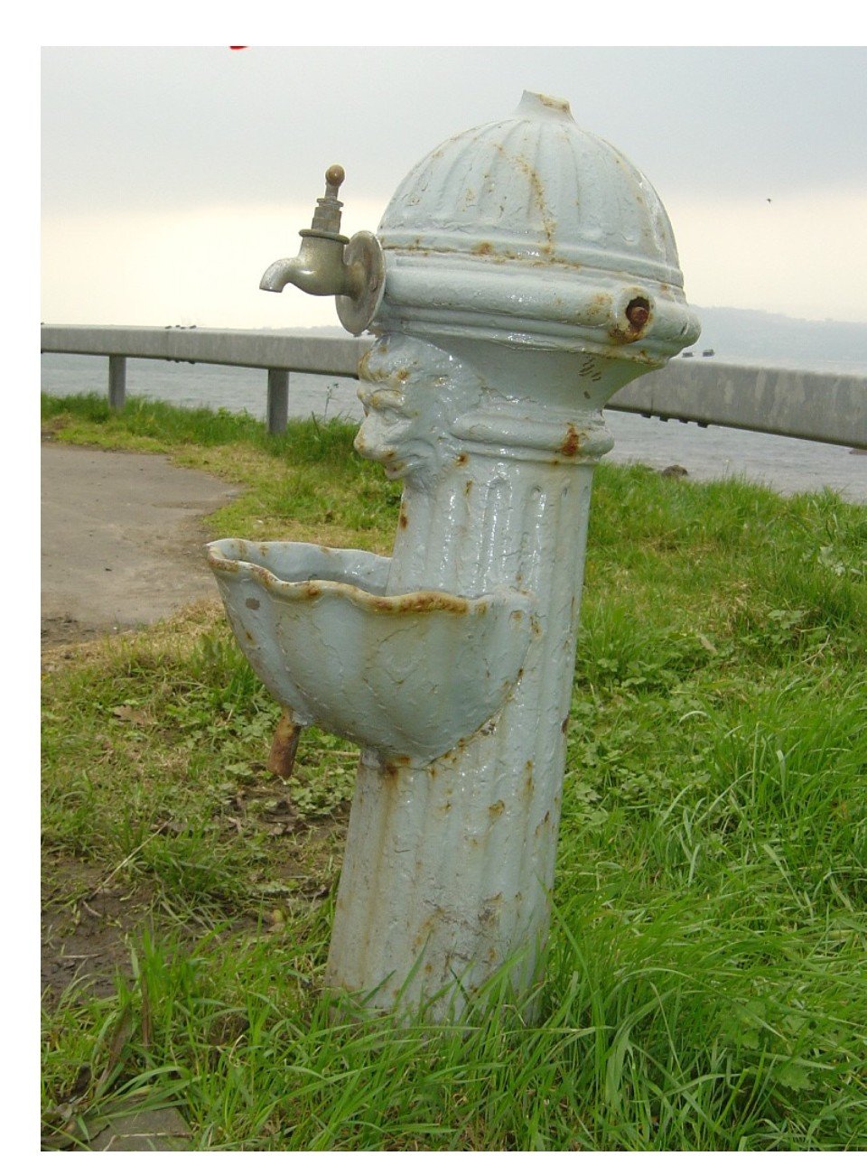 Renovation of Shore Road Victorian Drinking Fountain campaign photo, 4 of 5