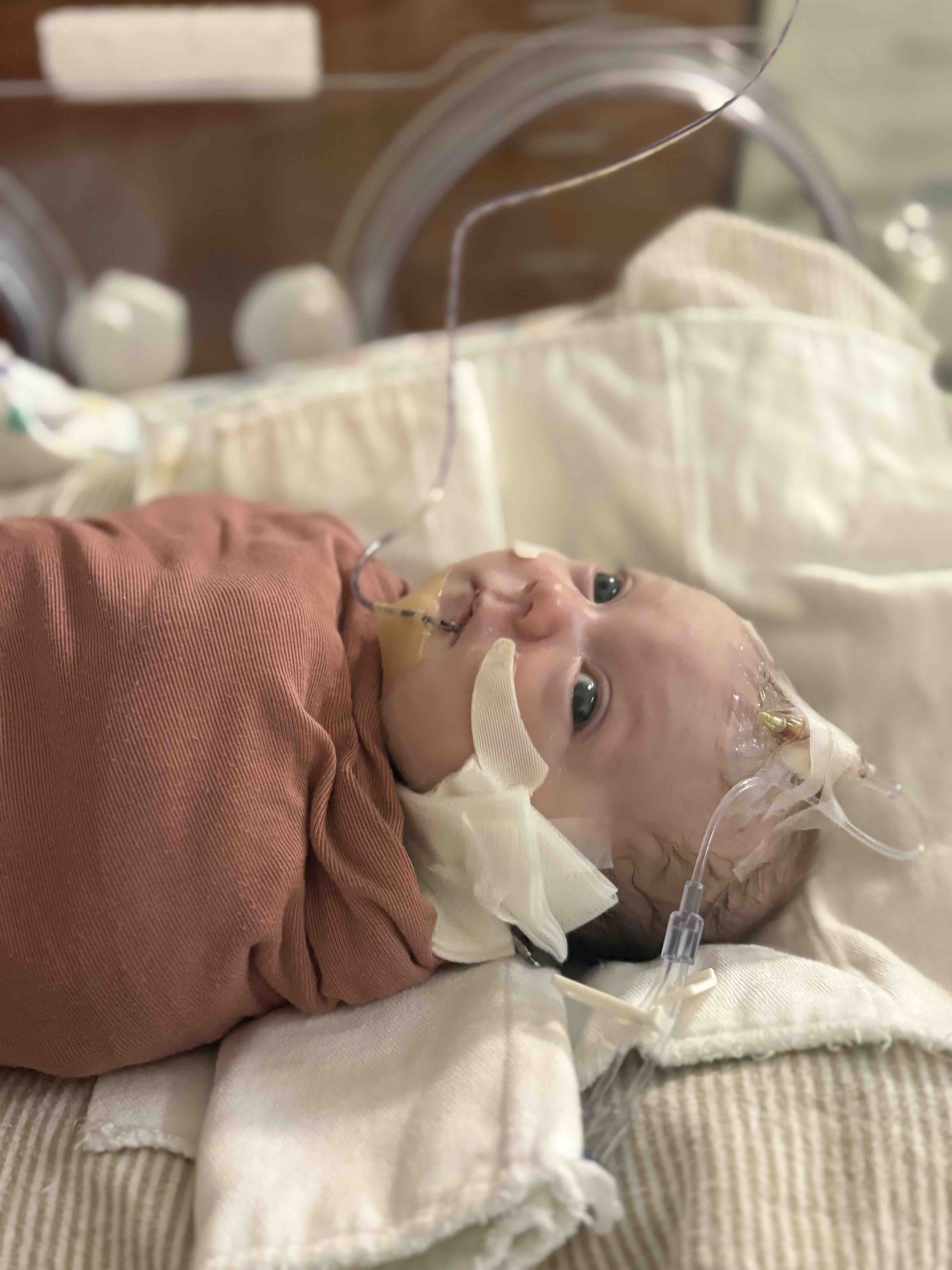 Support Baby Nova's NICU Journey & families travel to Nova campaign photo, 9 of 11