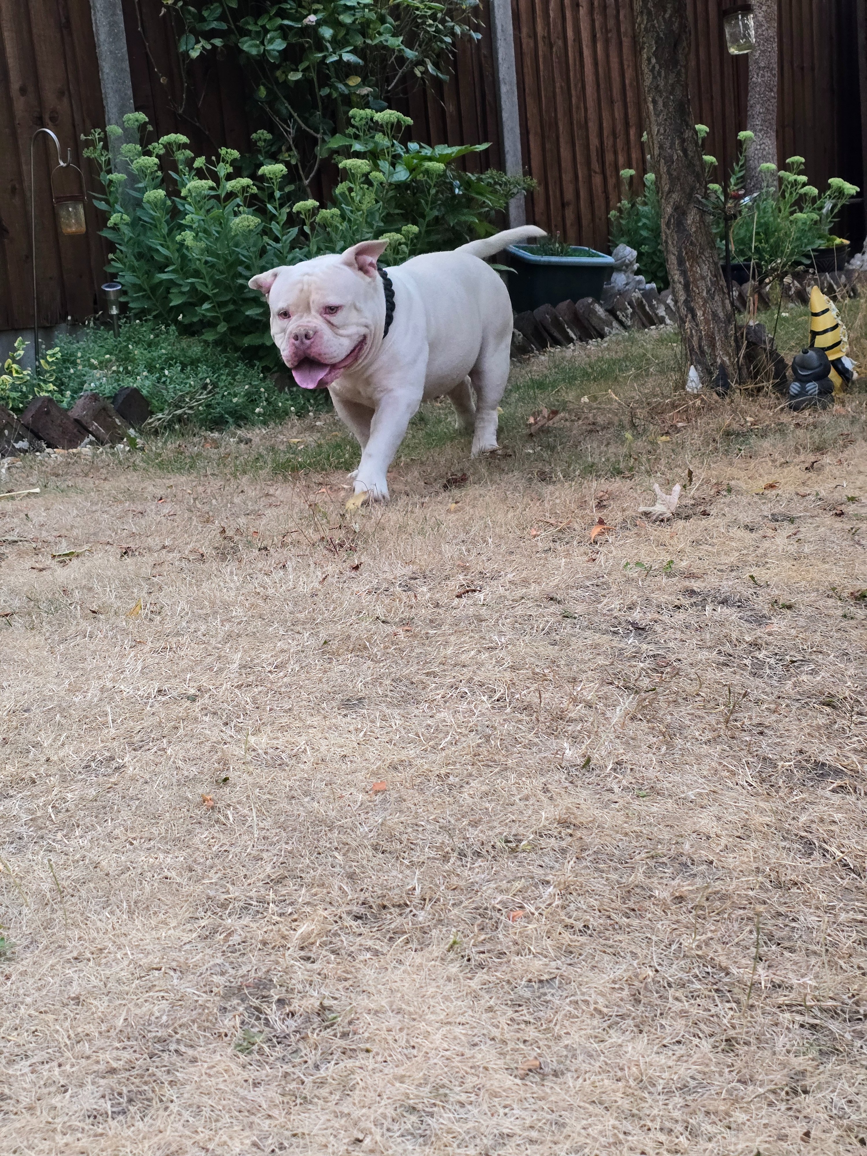 Help Give Victor the Second Chance He Deserves campaign photo, 2 of 8