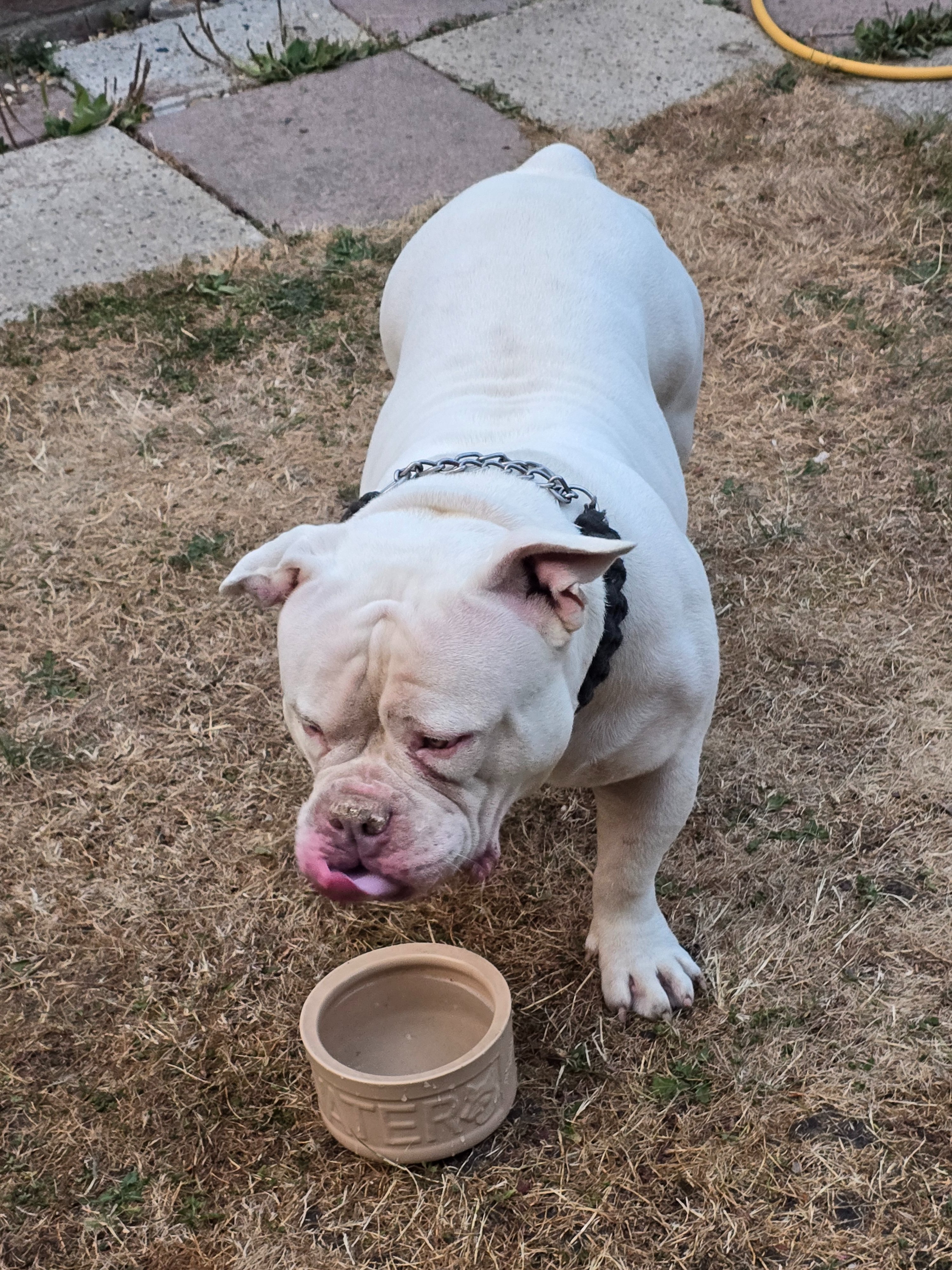 Help Give Victor the Second Chance He Deserves campaign photo, 4 of 8