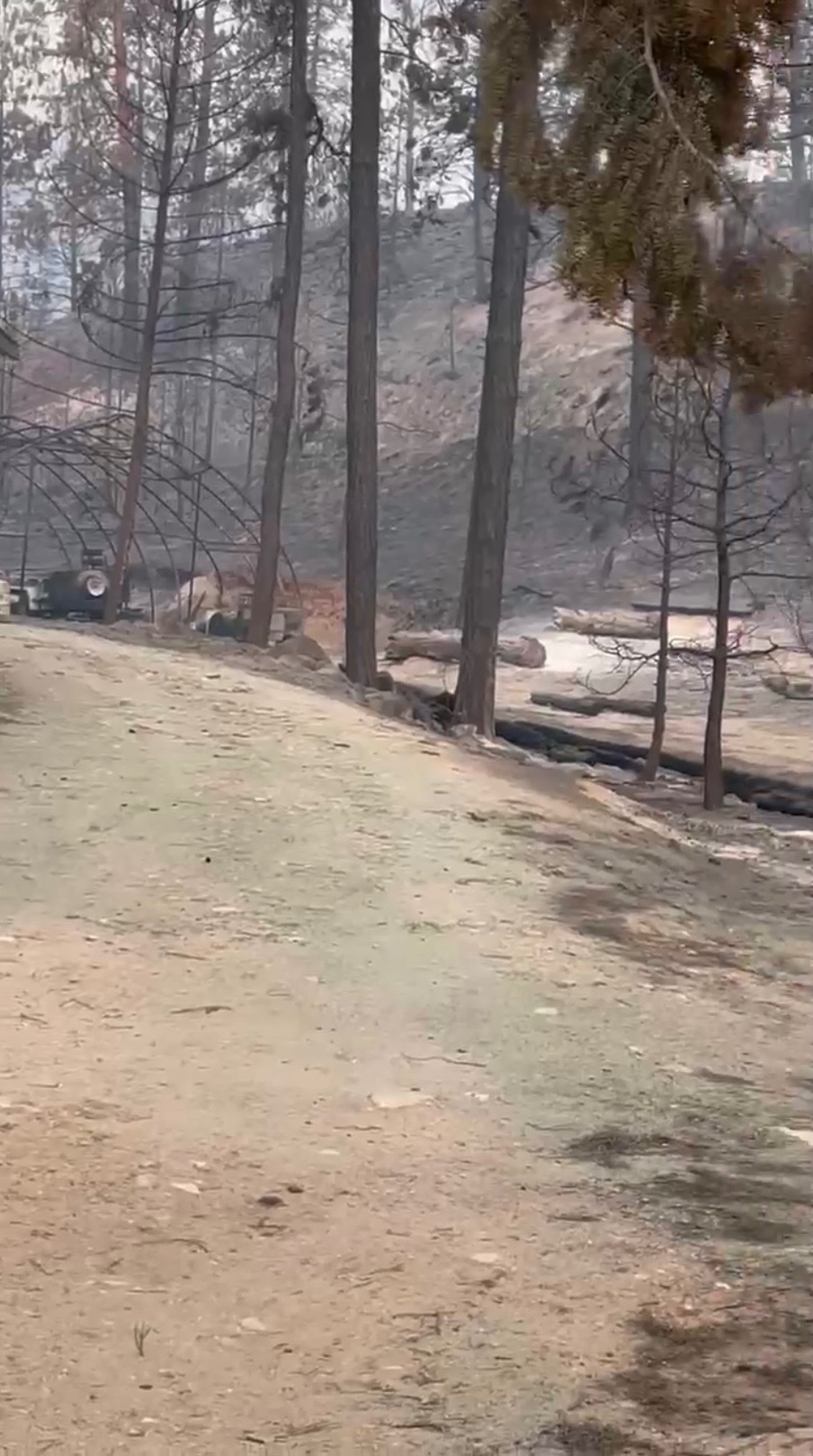 Surviving the Bald Range Wildfire: Help Julie & Scott campaign photo, 5 of 8
