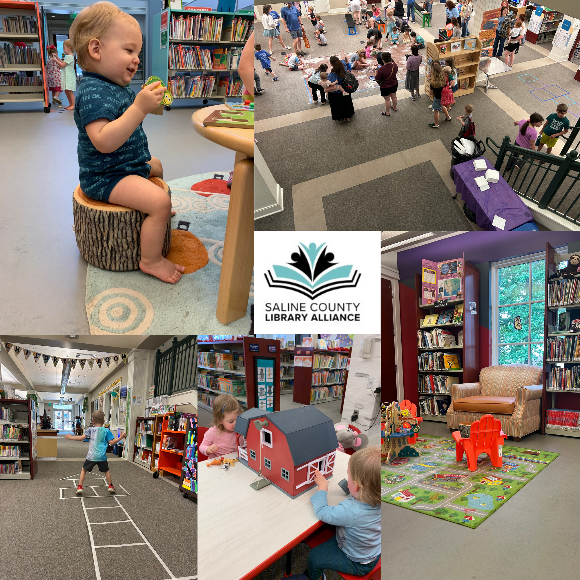 Help Us Protect the Saline County Library campaign photo, 2 of 4