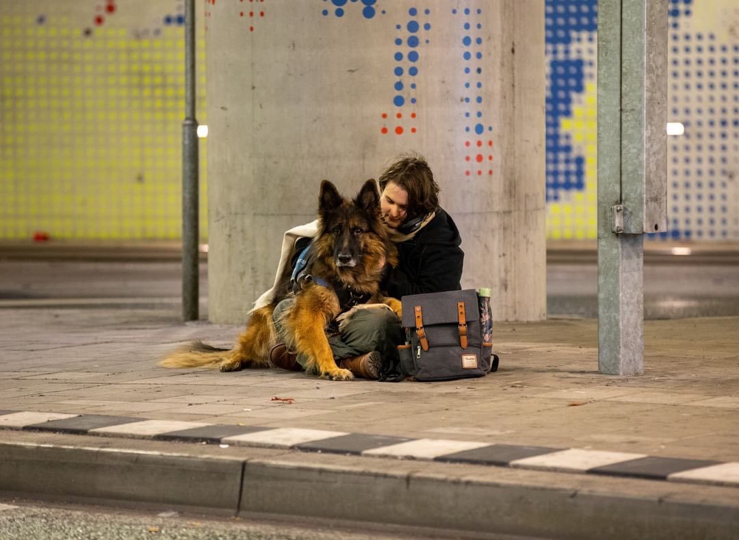 Samen op weg naar een nieuwe assistentiehond campaign photo, 6 of 8