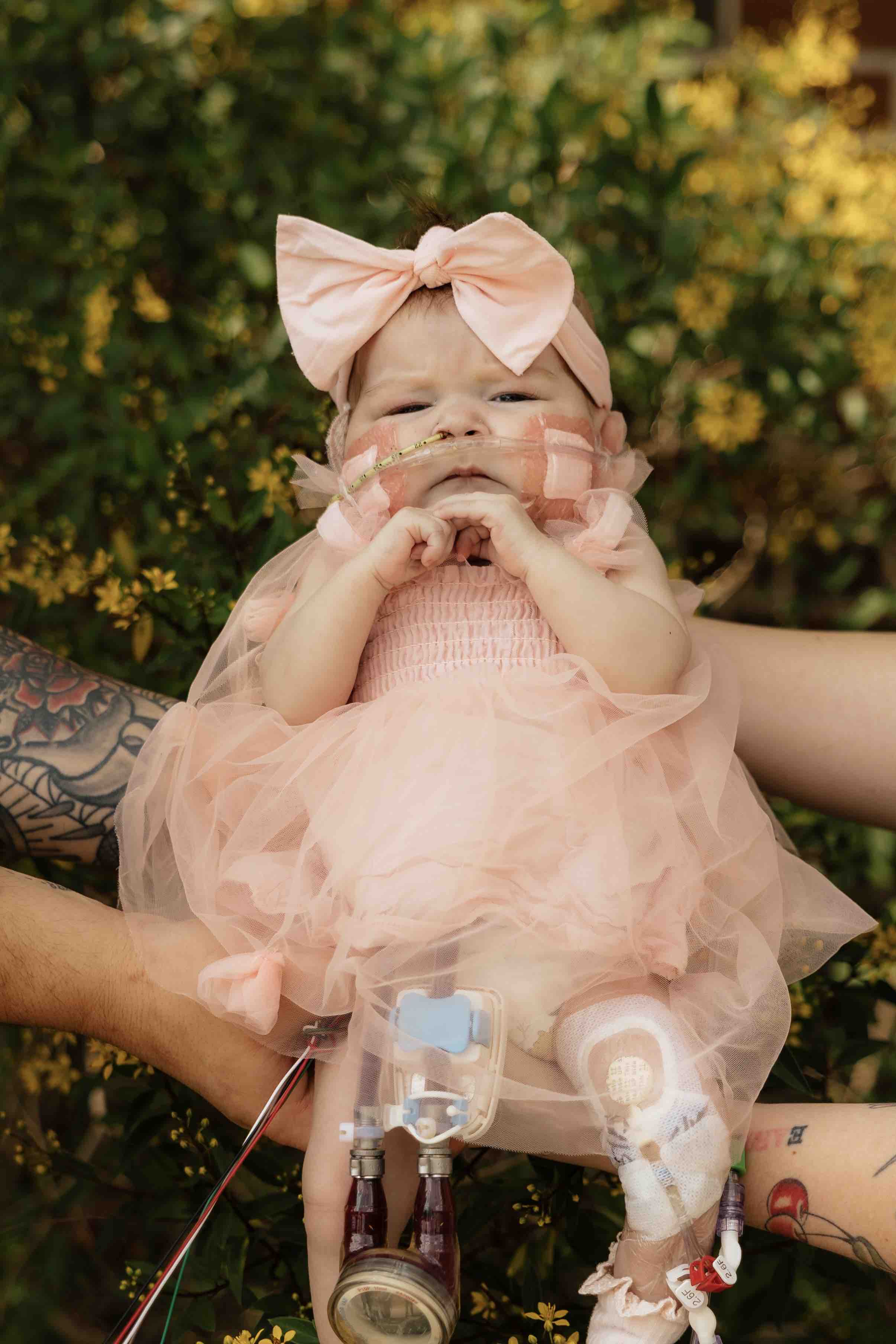 Help with Mabel Rose’s funeral expenses campaign photo, 8 of 13