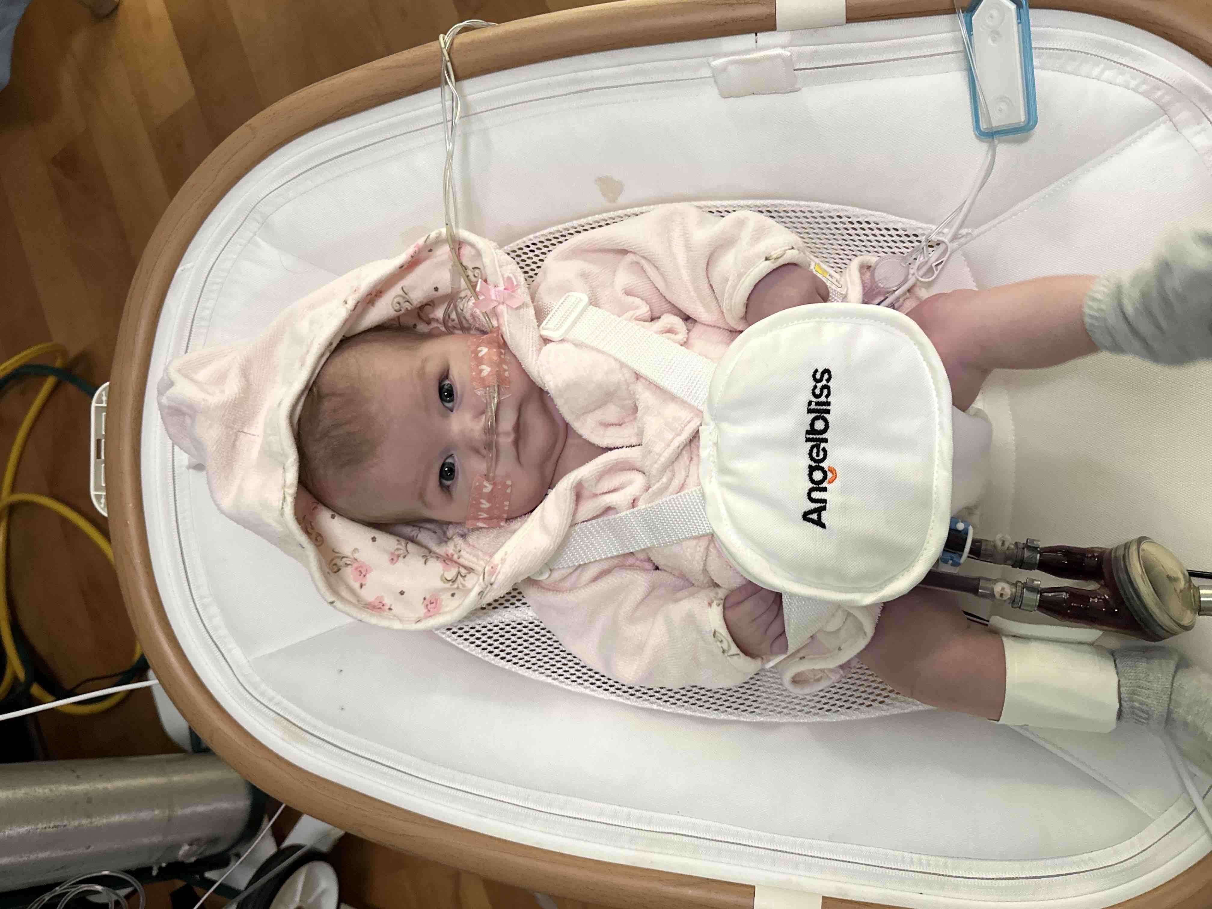 Help with Mabel Rose’s funeral expenses campaign photo, 11 of 13