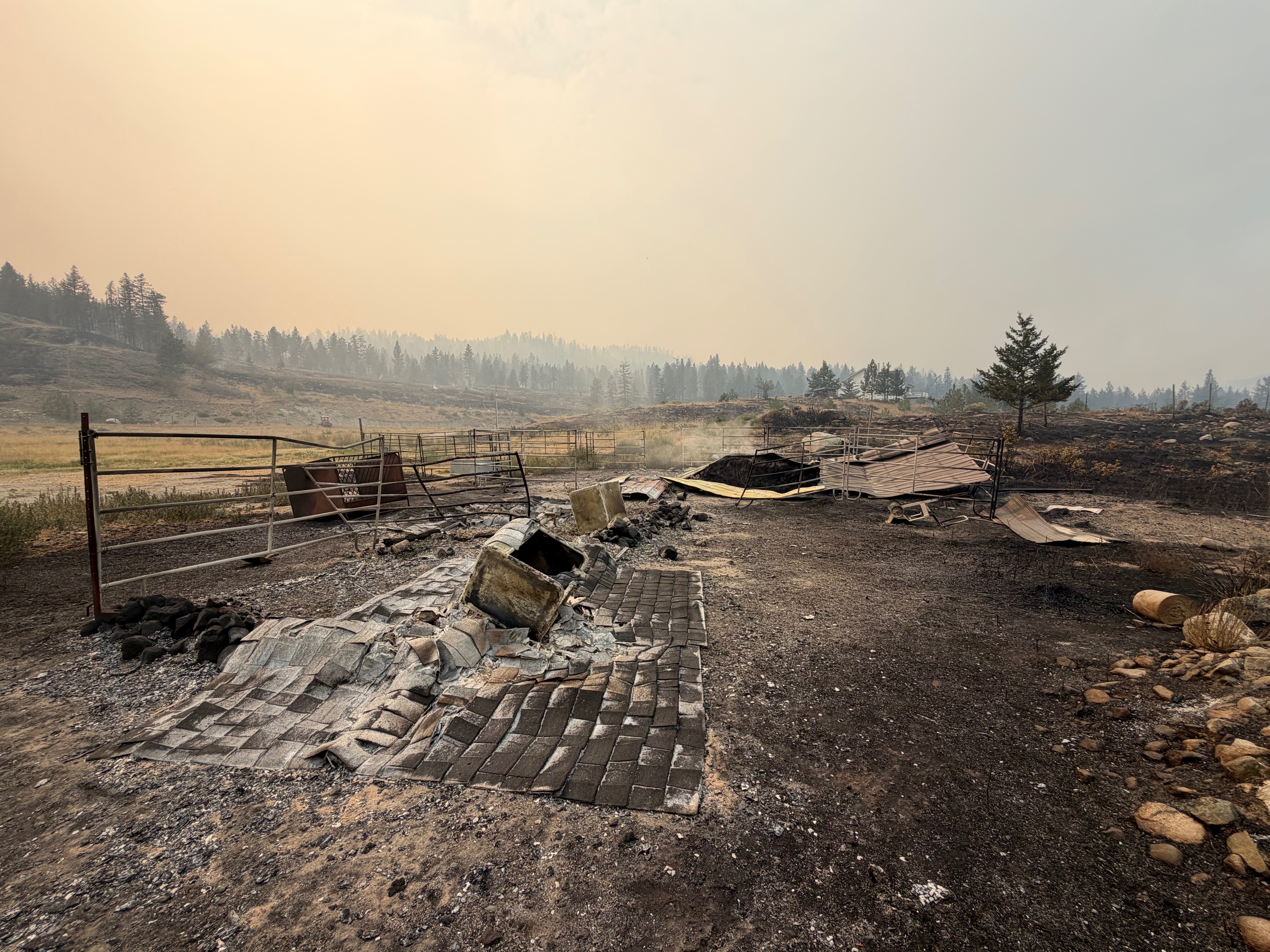 Help save the Summerland fire Alpacas campaign photo, 6 of 8