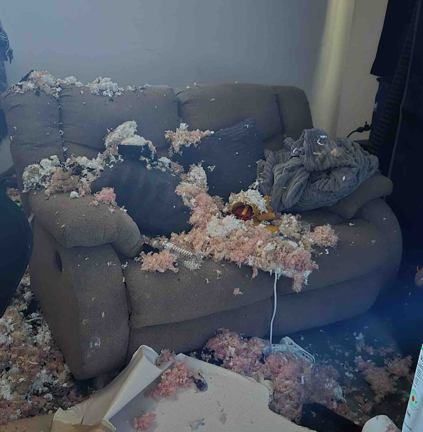 Help Caleb Rebuild After the House Fire campaign photo, 5 of 7