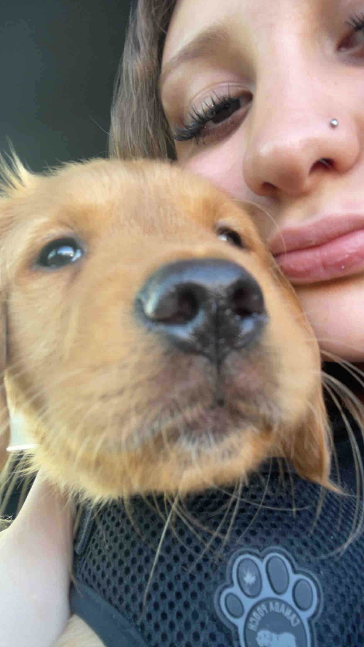 Help Puppy Light Heal After Severe Accident campaign photo, 5 of 13