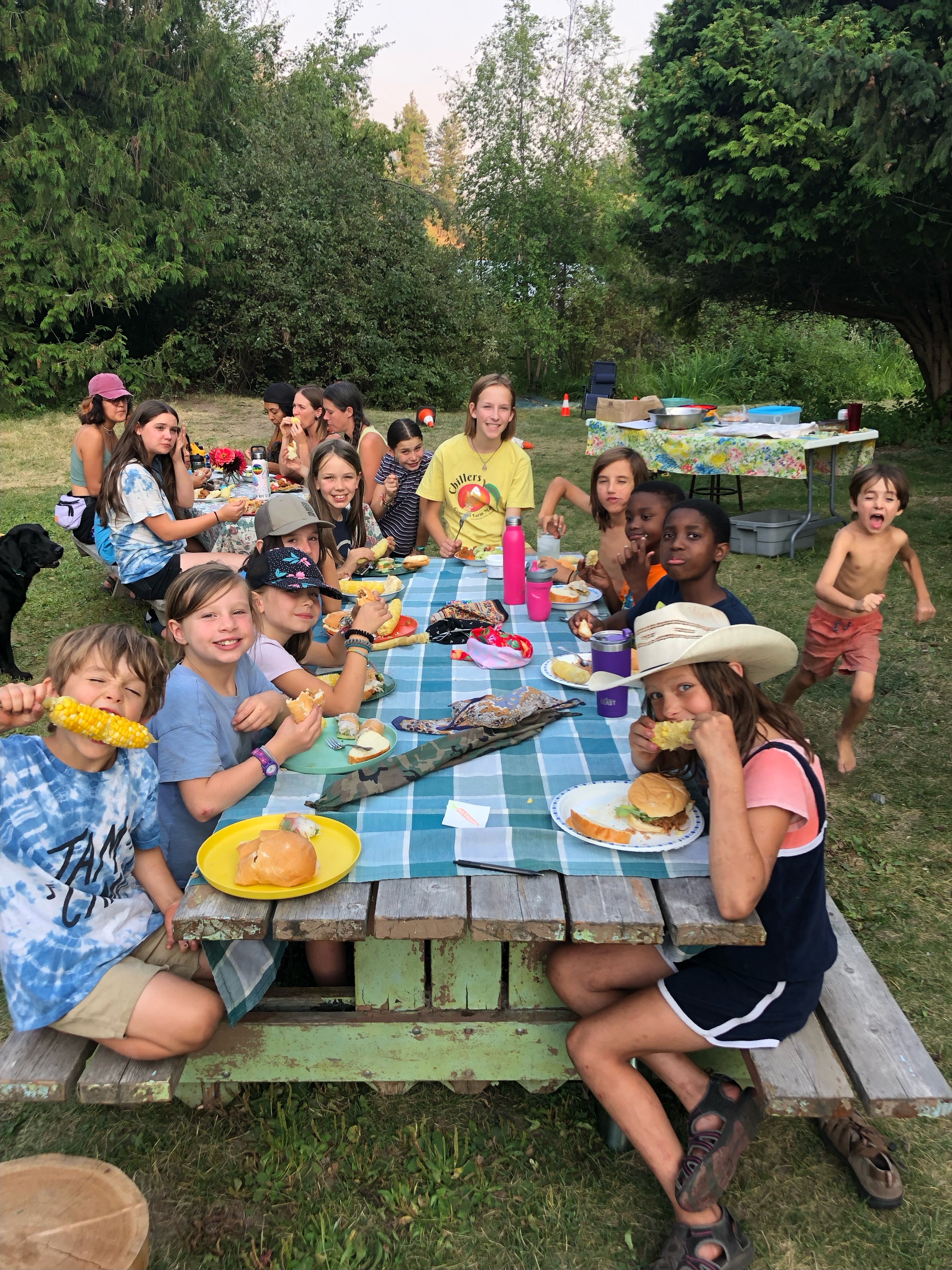 Garnet Hollow Organic Farm- Family Relief Fund campaign photo, 7 of 7
